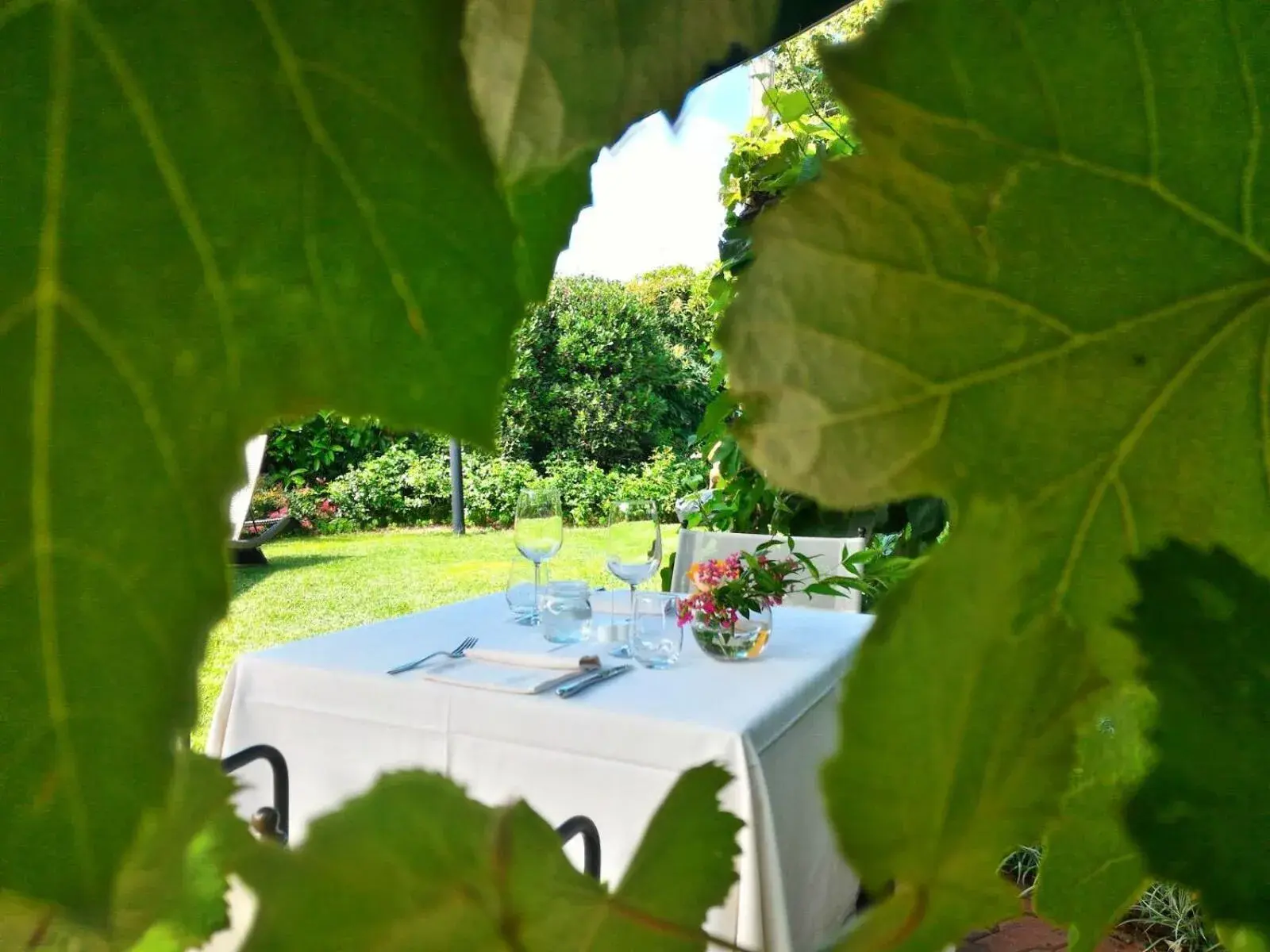 Garden in Wine Hotel San Giacomo Activity & Wellness