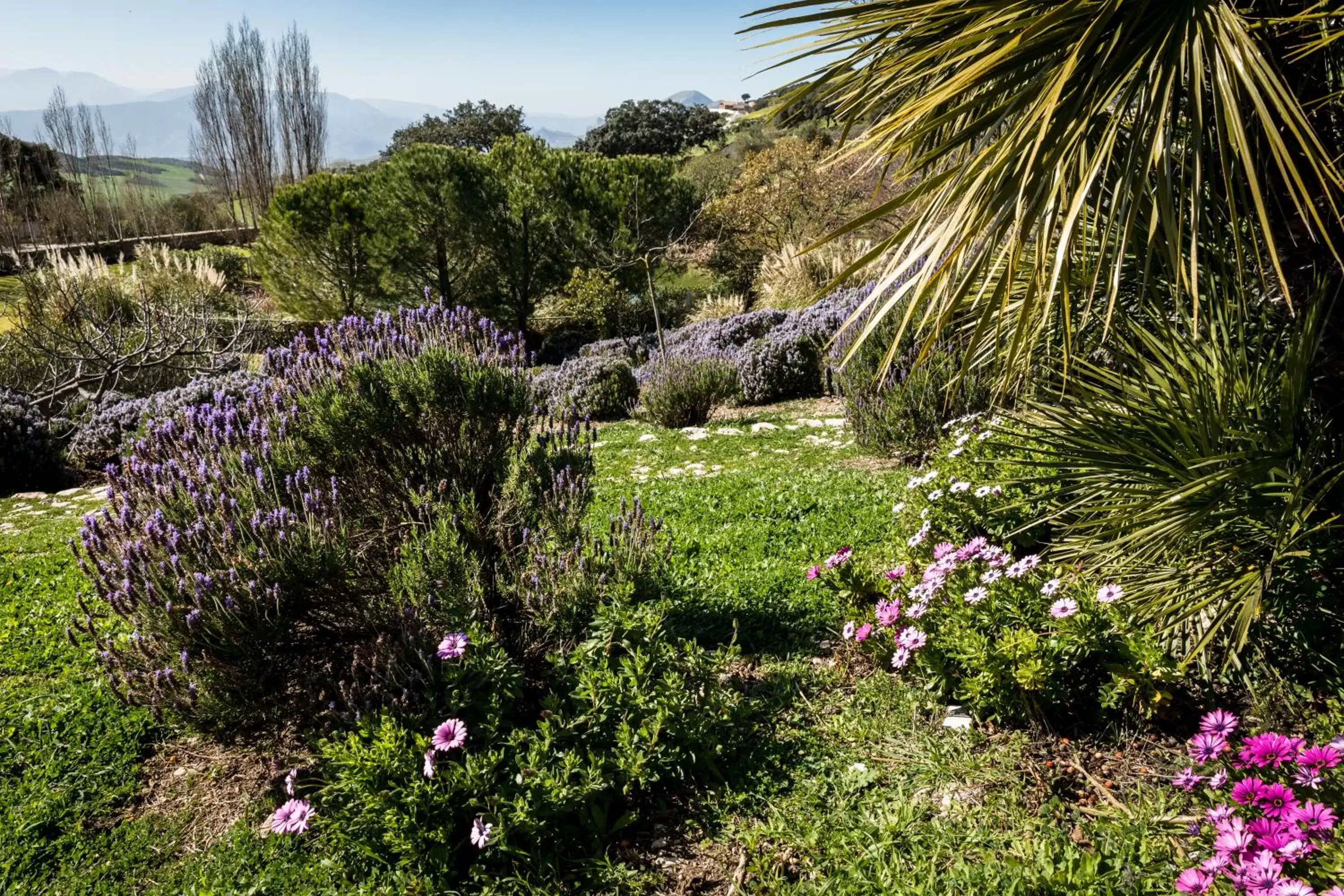 Garden in La Fuente del Sol Hotel & Spa