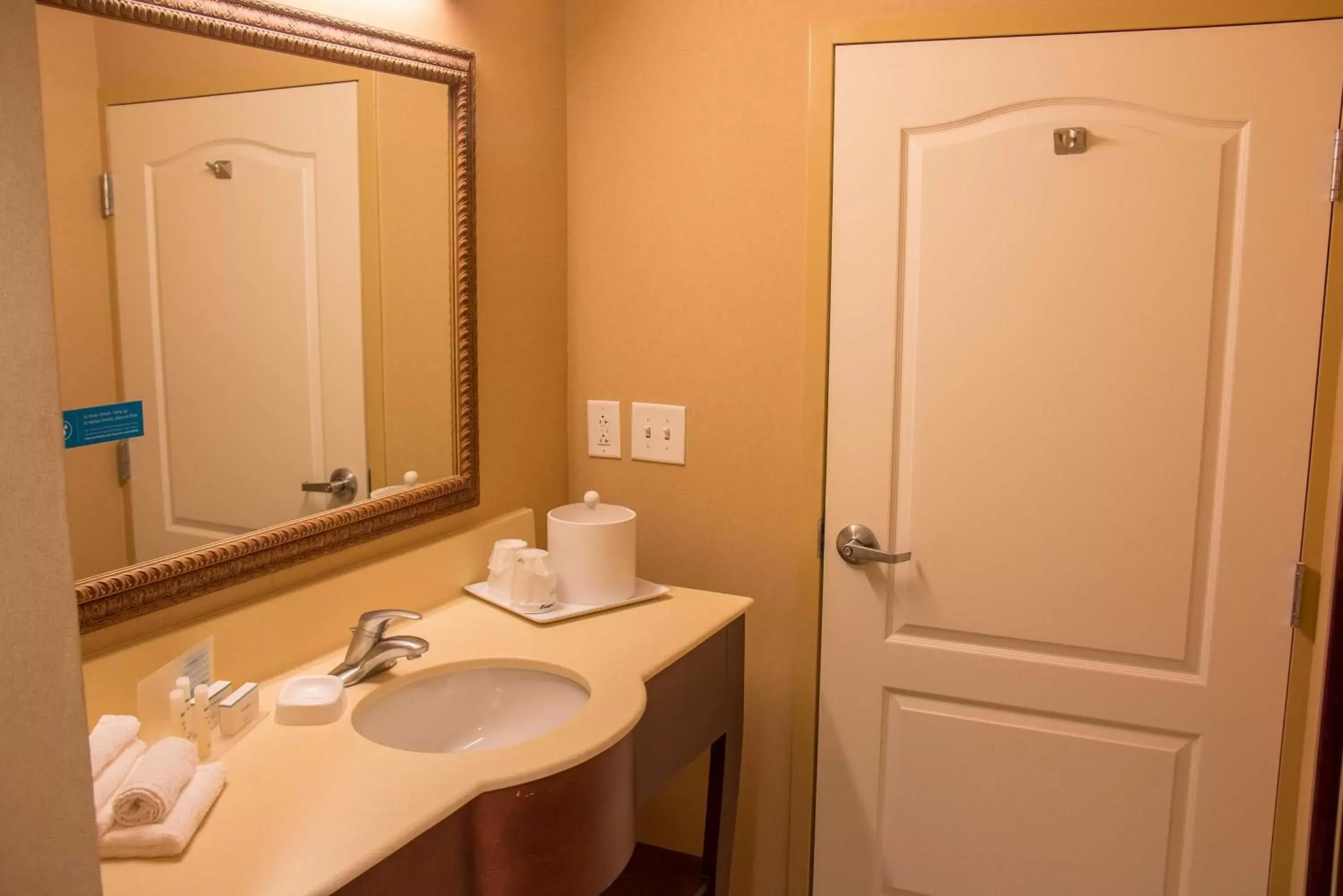 Bathroom in Hampton Inn Murphy