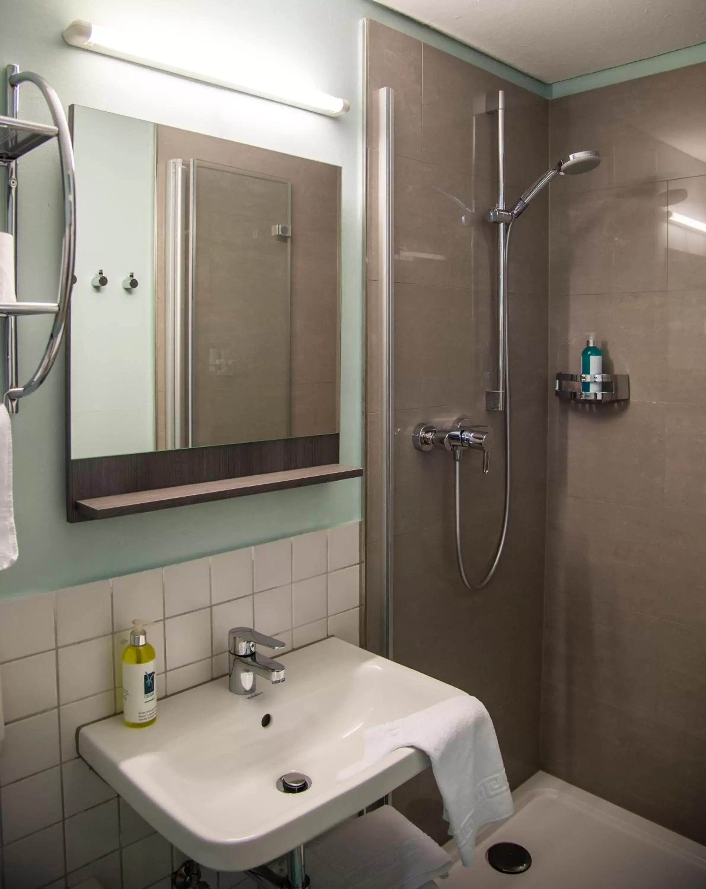 Decorative detail, Bathroom in Apartment Hotel Konstanz