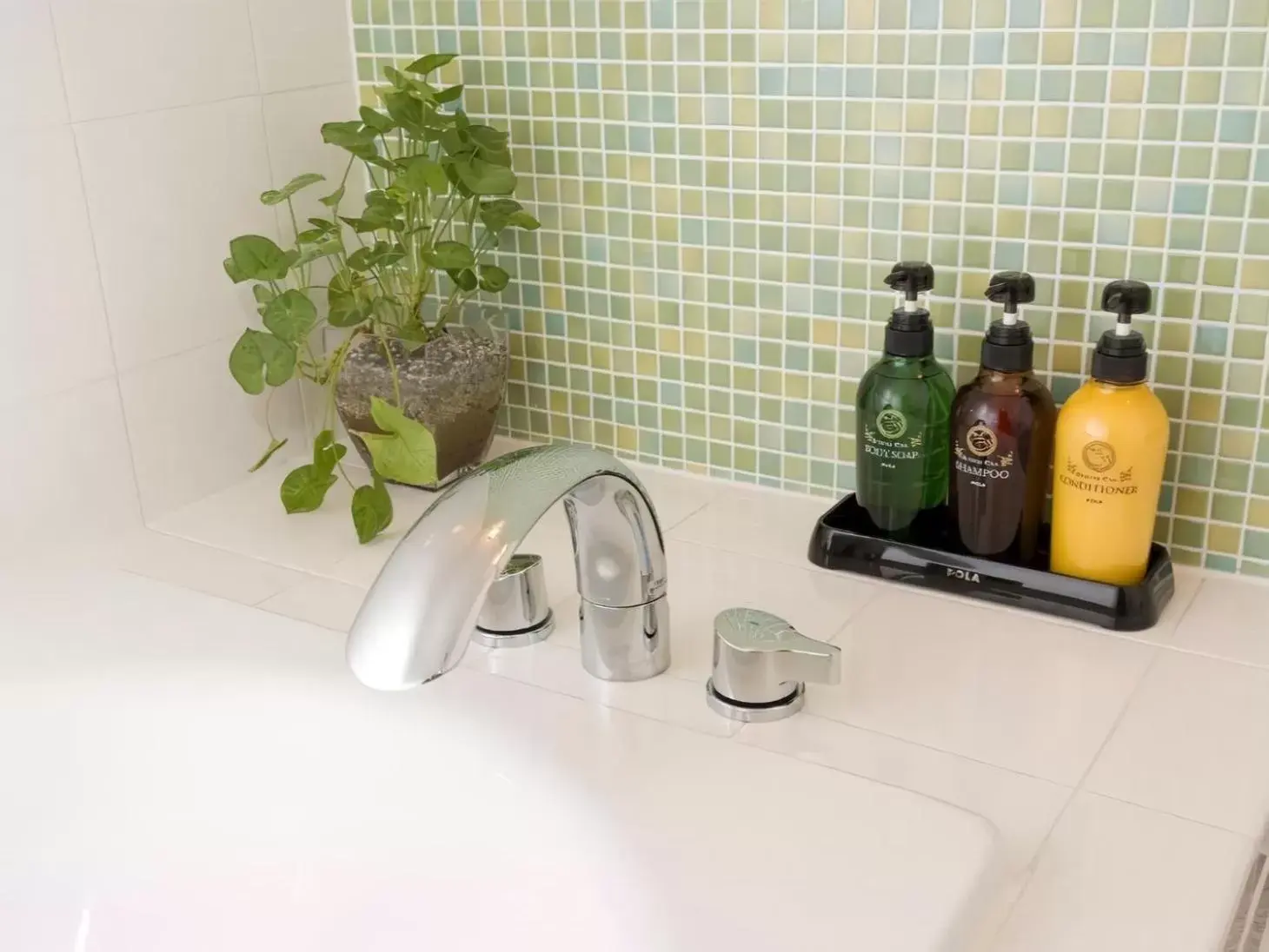 Photo of the whole room, Bathroom in Wellness Forest Nasu