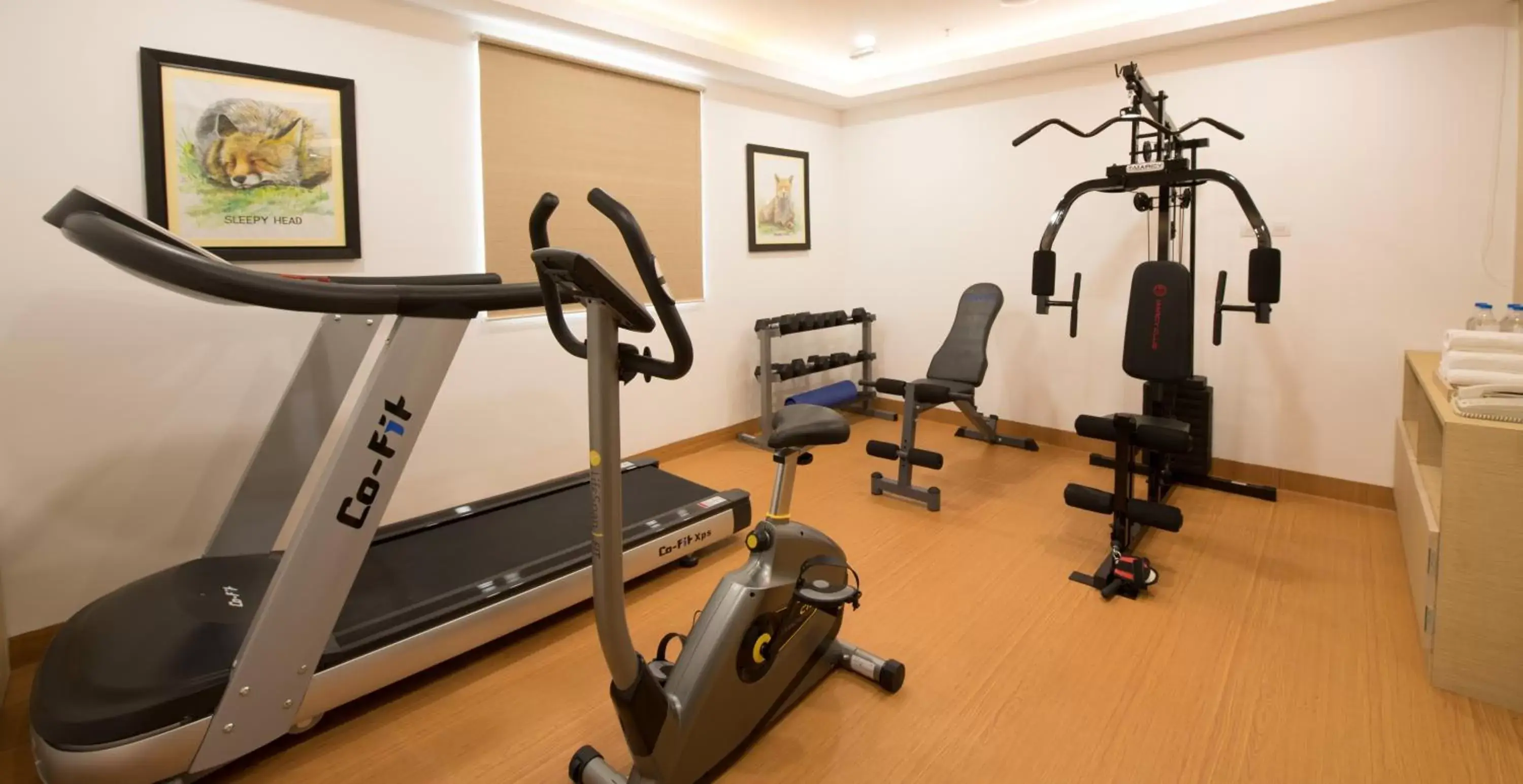Fitness centre/facilities, Fitness Center/Facilities in Red Fox Hotel, Trichy