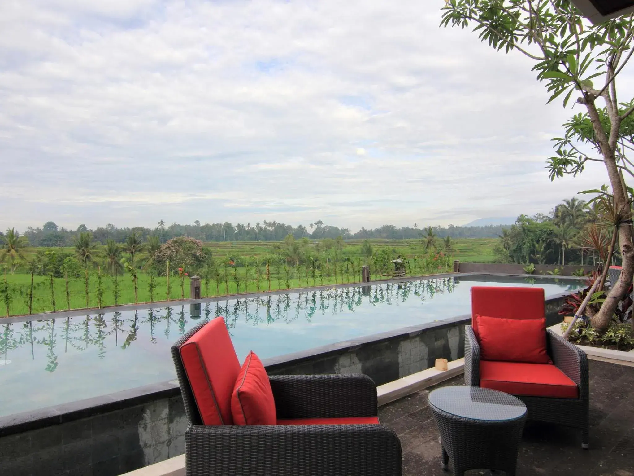 Swimming pool in Uma Stana Villa