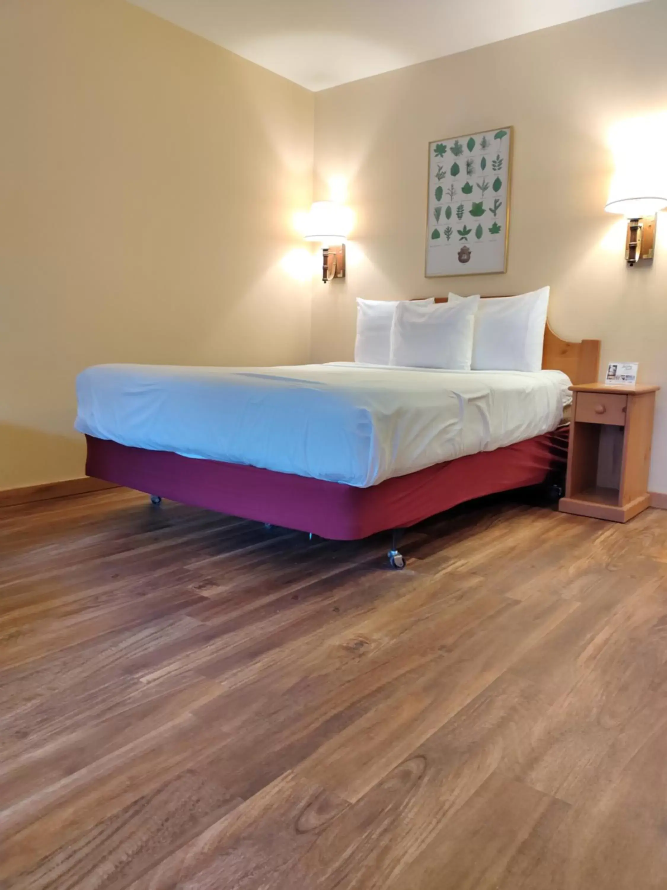 Bed in Holiday Acres Resort