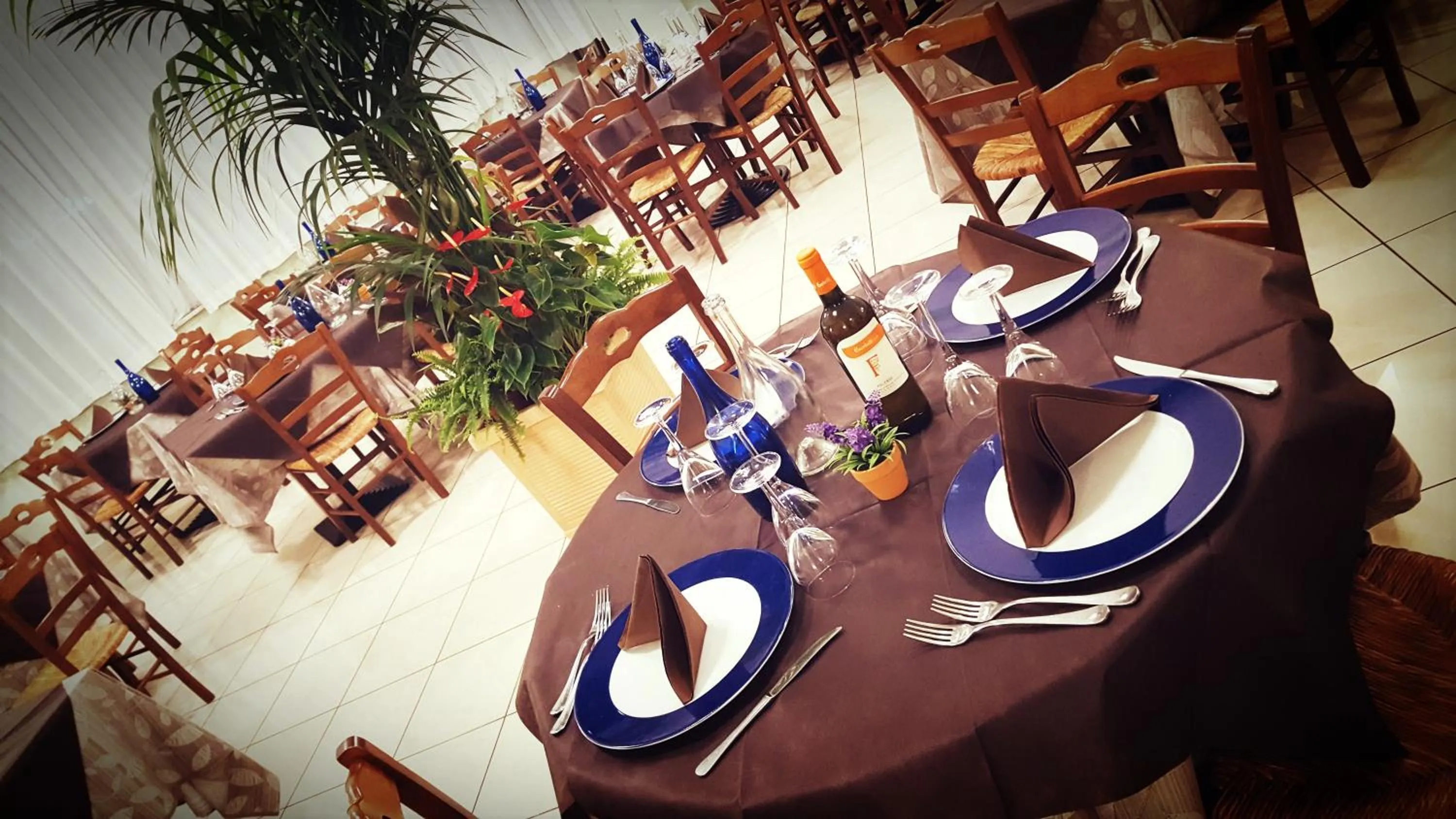 Restaurant/places to eat in Hotel Gala