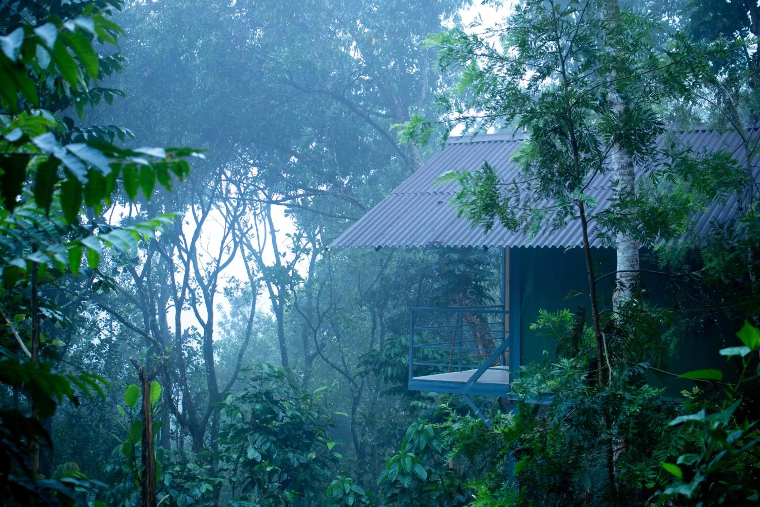 Garden in Edens Munnar