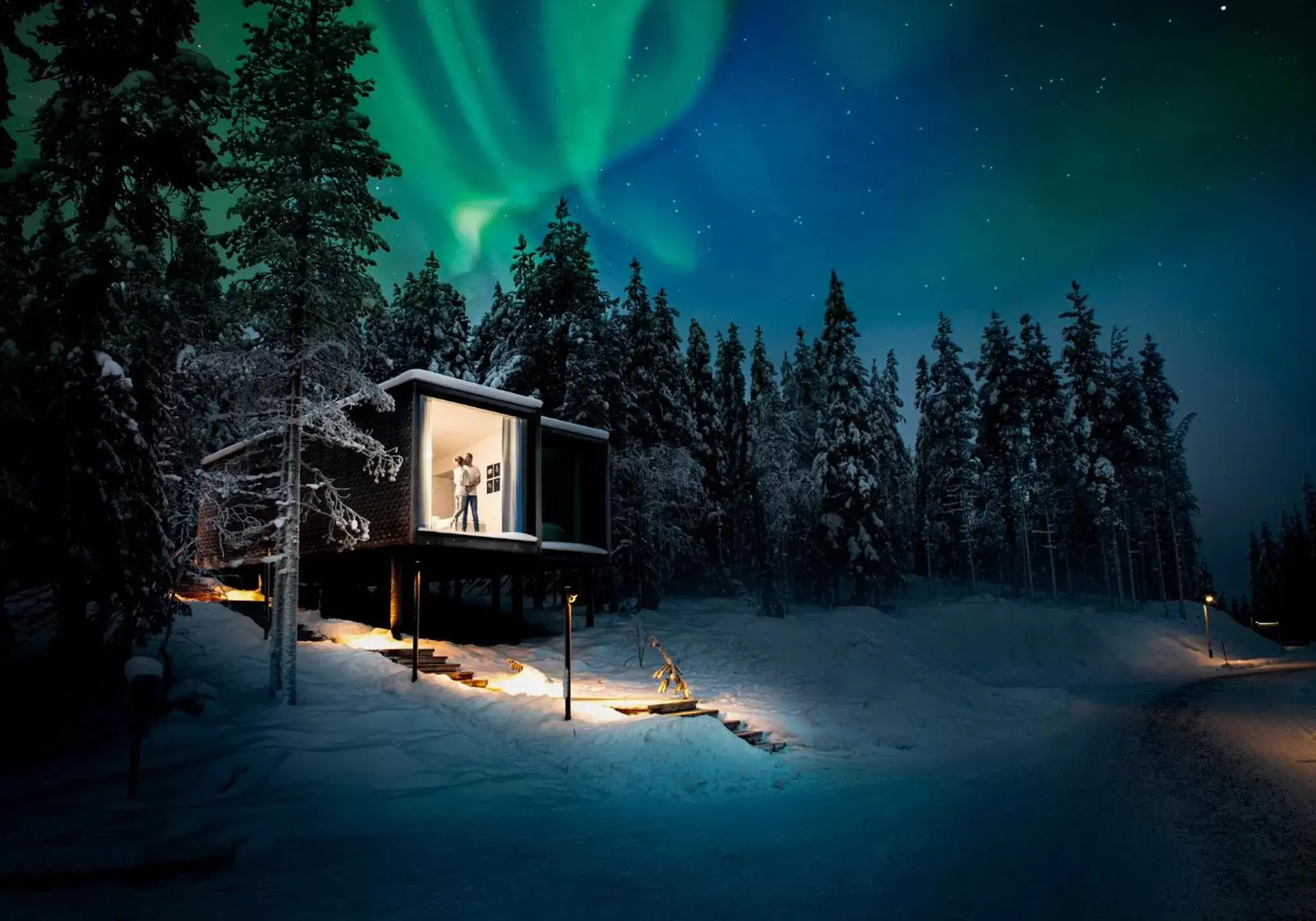 Night, Winter in Arctic TreeHouse Hotel