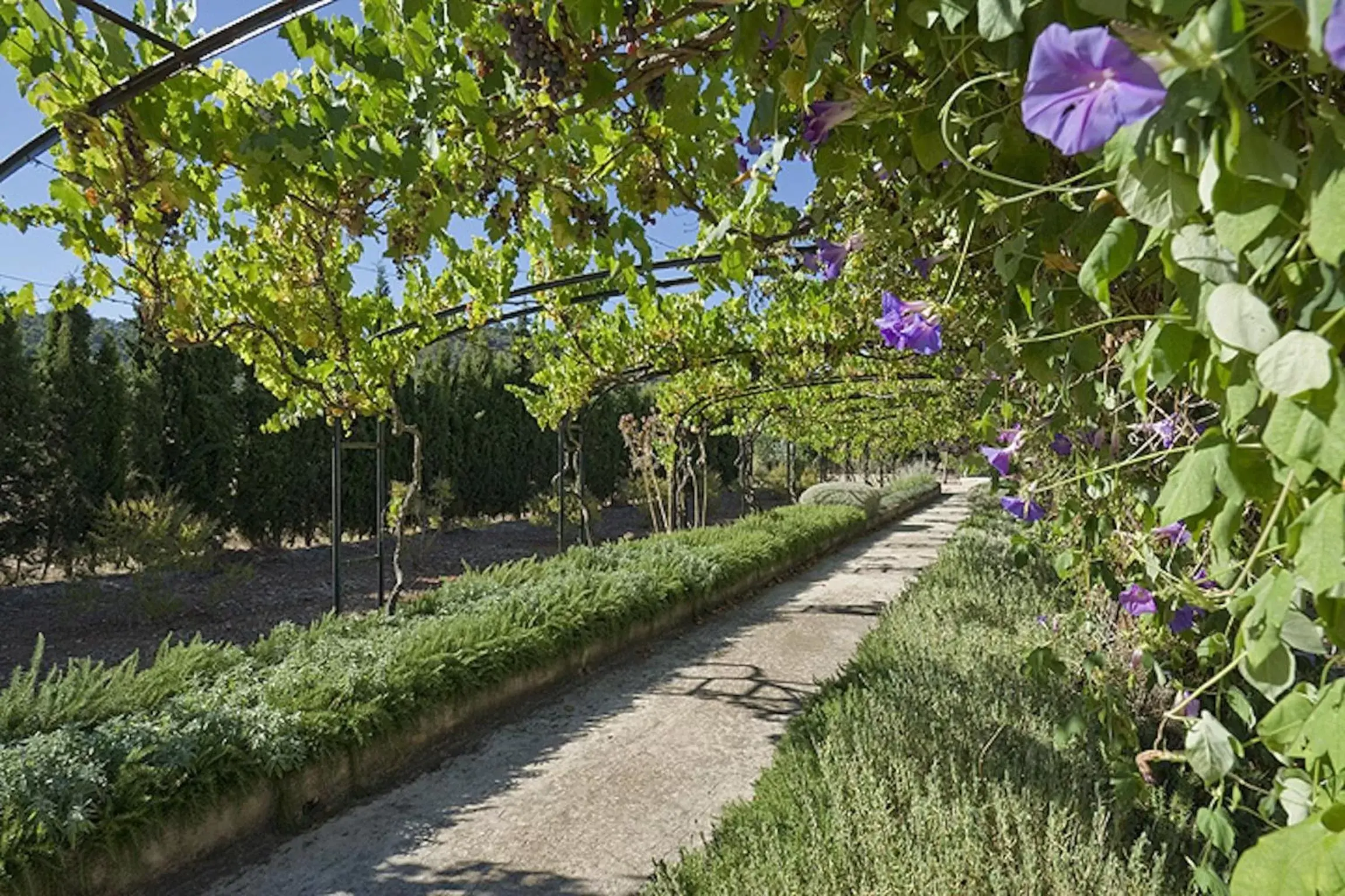 Decorative detail, Garden in loftOtel canet