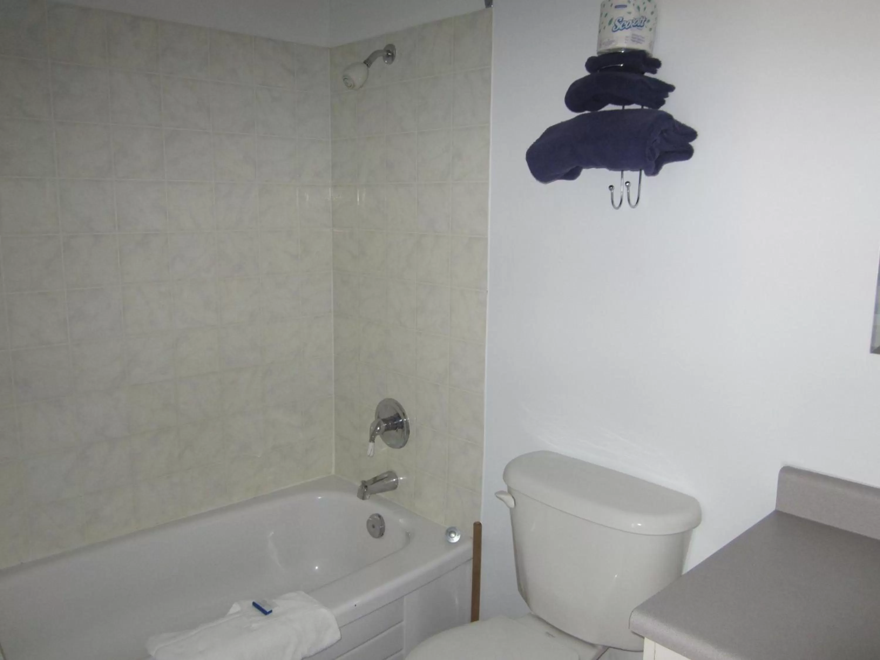 Toilet, Bathroom in Bonanza Gold Motel