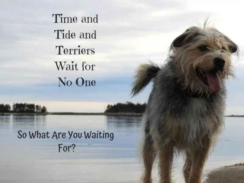 Property building in Seawind Landing Country Inn