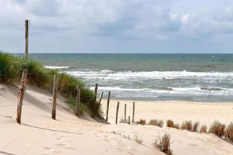 Natural landscape in Slapen bij de Buurvrouw