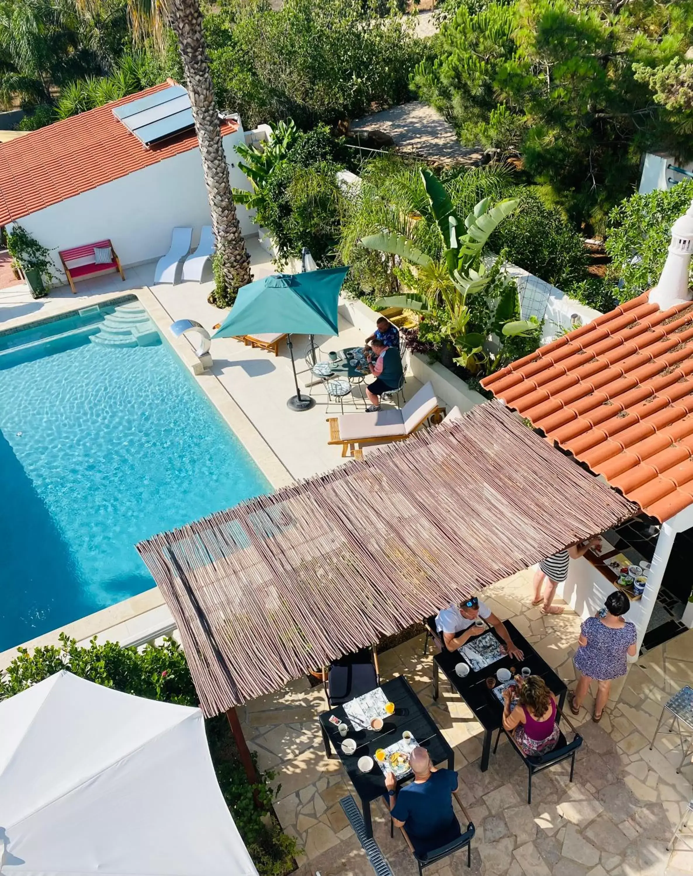 Pool View in Palm View Guesthouse, adults only