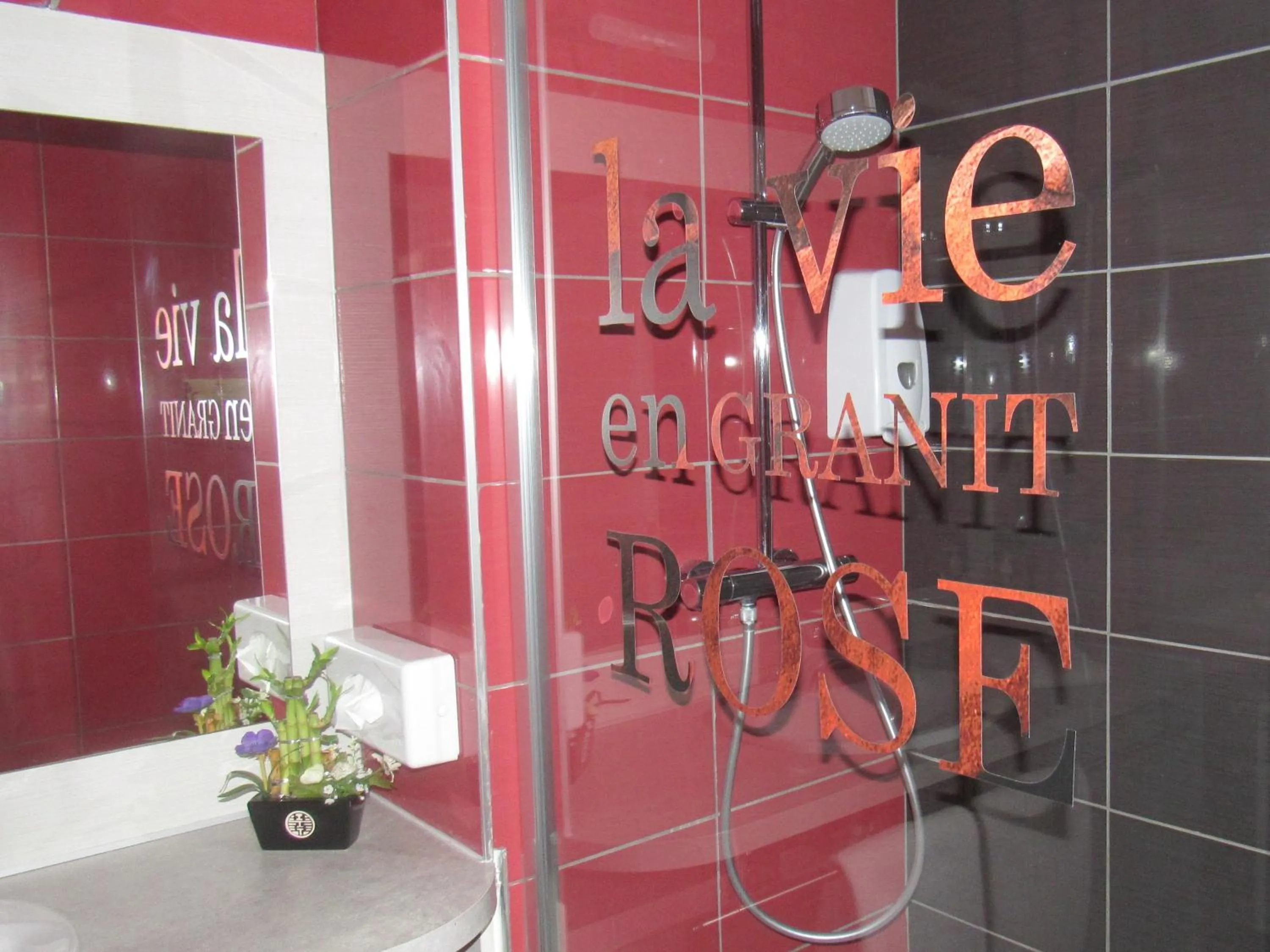 Shower in Citotel Les Sternes