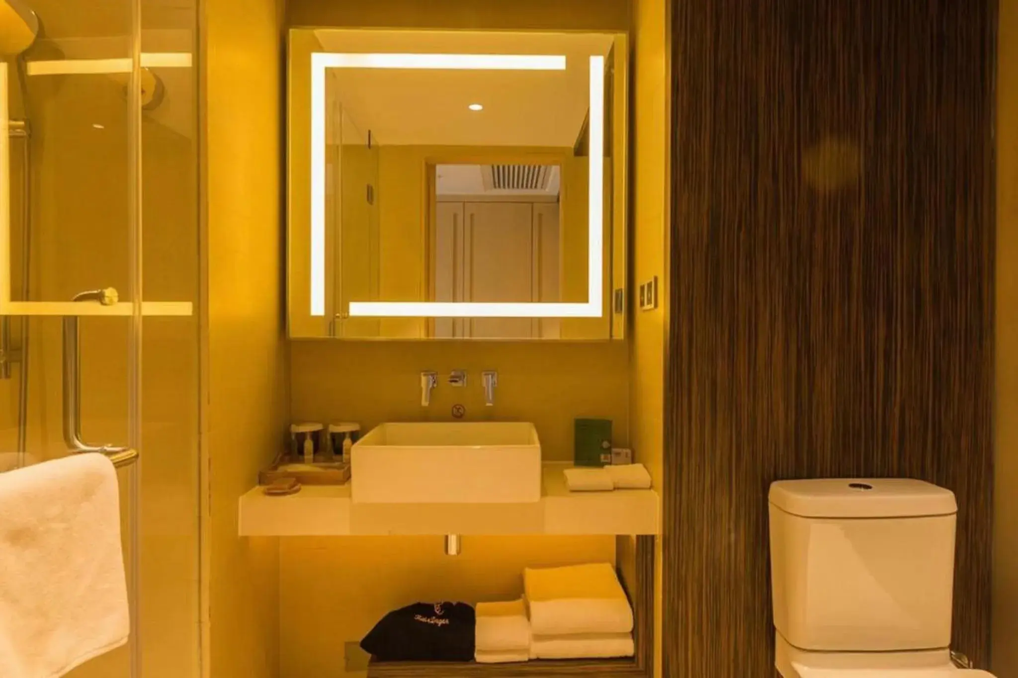 Toilet, Bathroom in Hilton Garden Inn Xi'an High-Tech Zone
