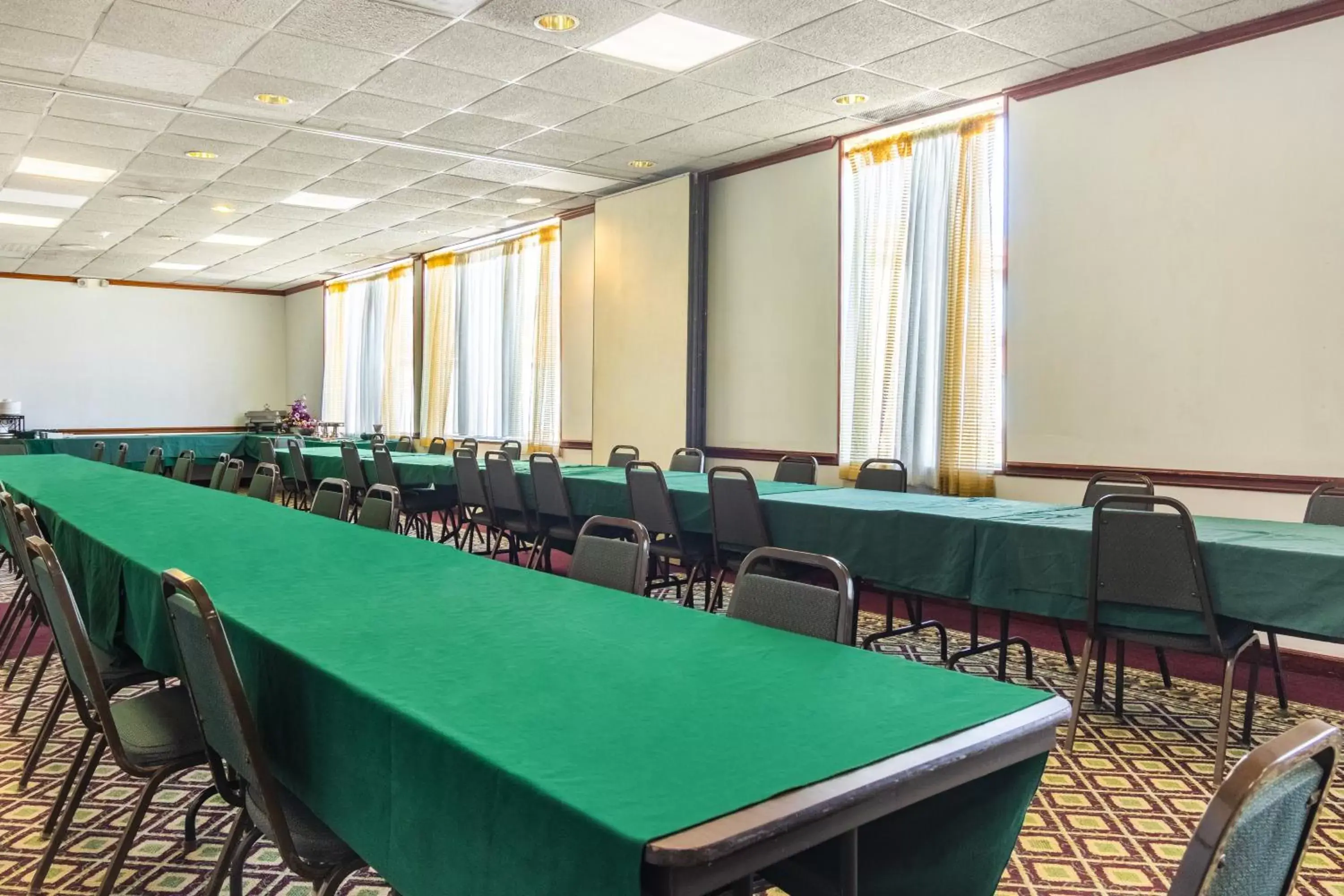 Meeting/conference room in Red Roof Inn Ashtabula - Austinburg