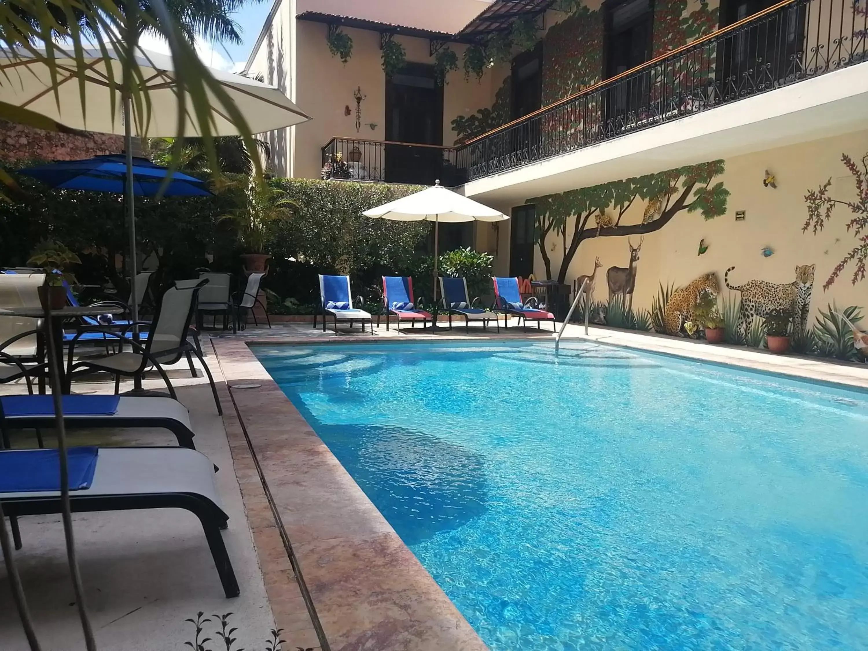 Day, Swimming Pool in Mansión Mérida Boutique Hotel - Restaurant
