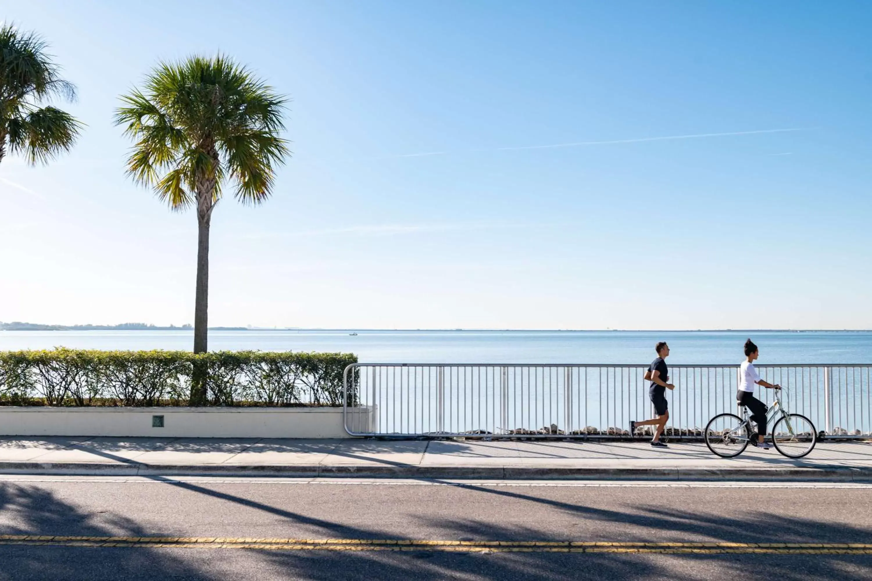 Fitness centre/facilities in Grand Hyatt Tampa Bay