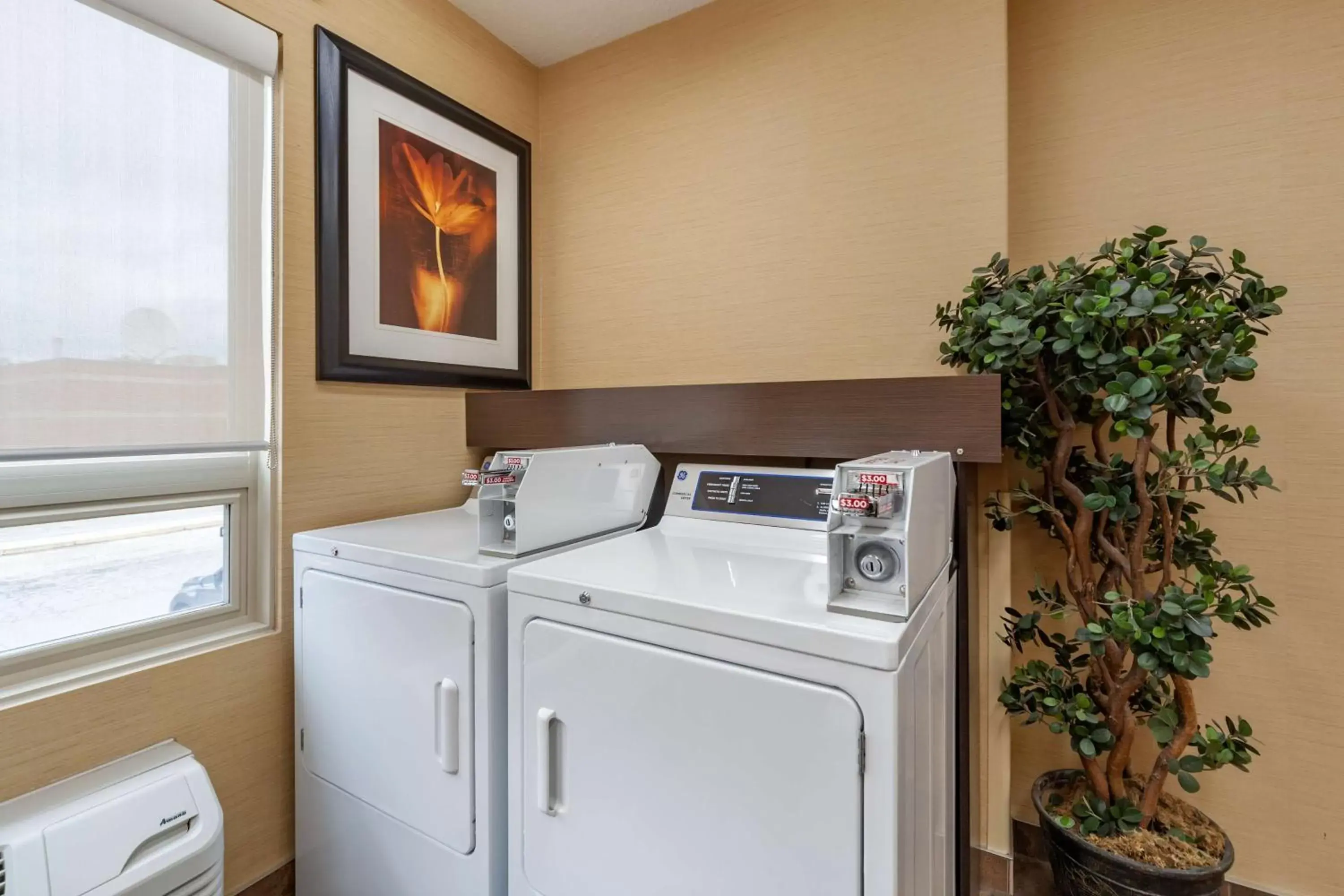 laundry, Kitchen/Kitchenette in Best Western Plus The Inn at St Albert