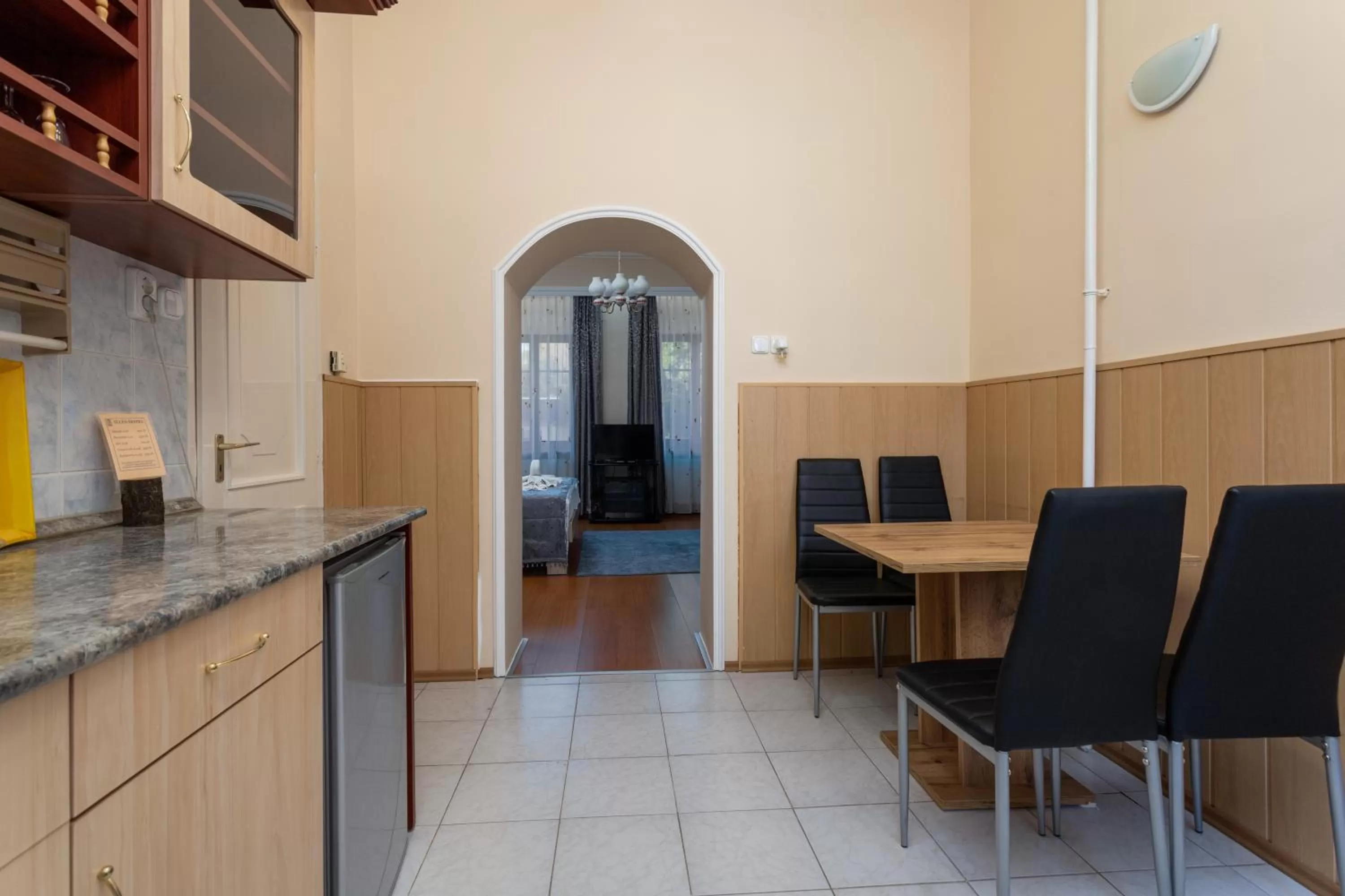 Kitchen or kitchenette in Illés Hotel