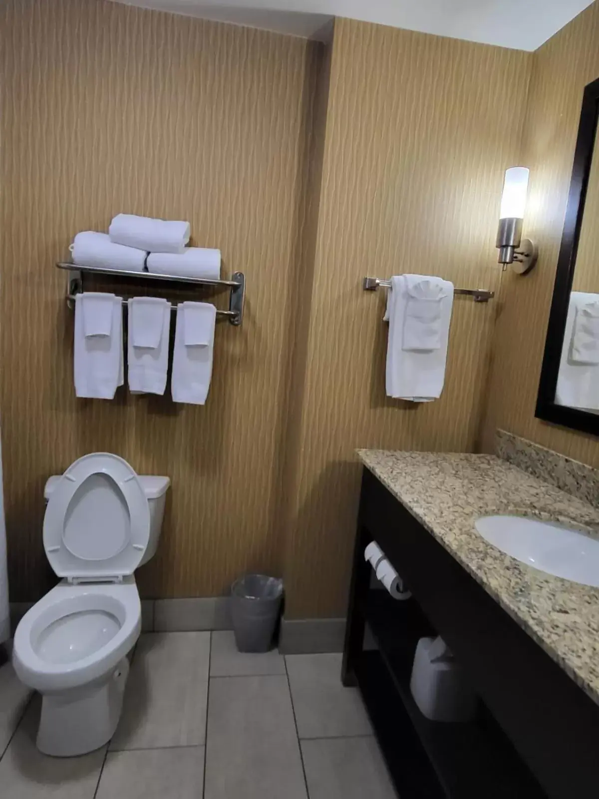 Bathroom in Holiday Inn Express & Suites - Smithfield/Selma, an IHG Hotel