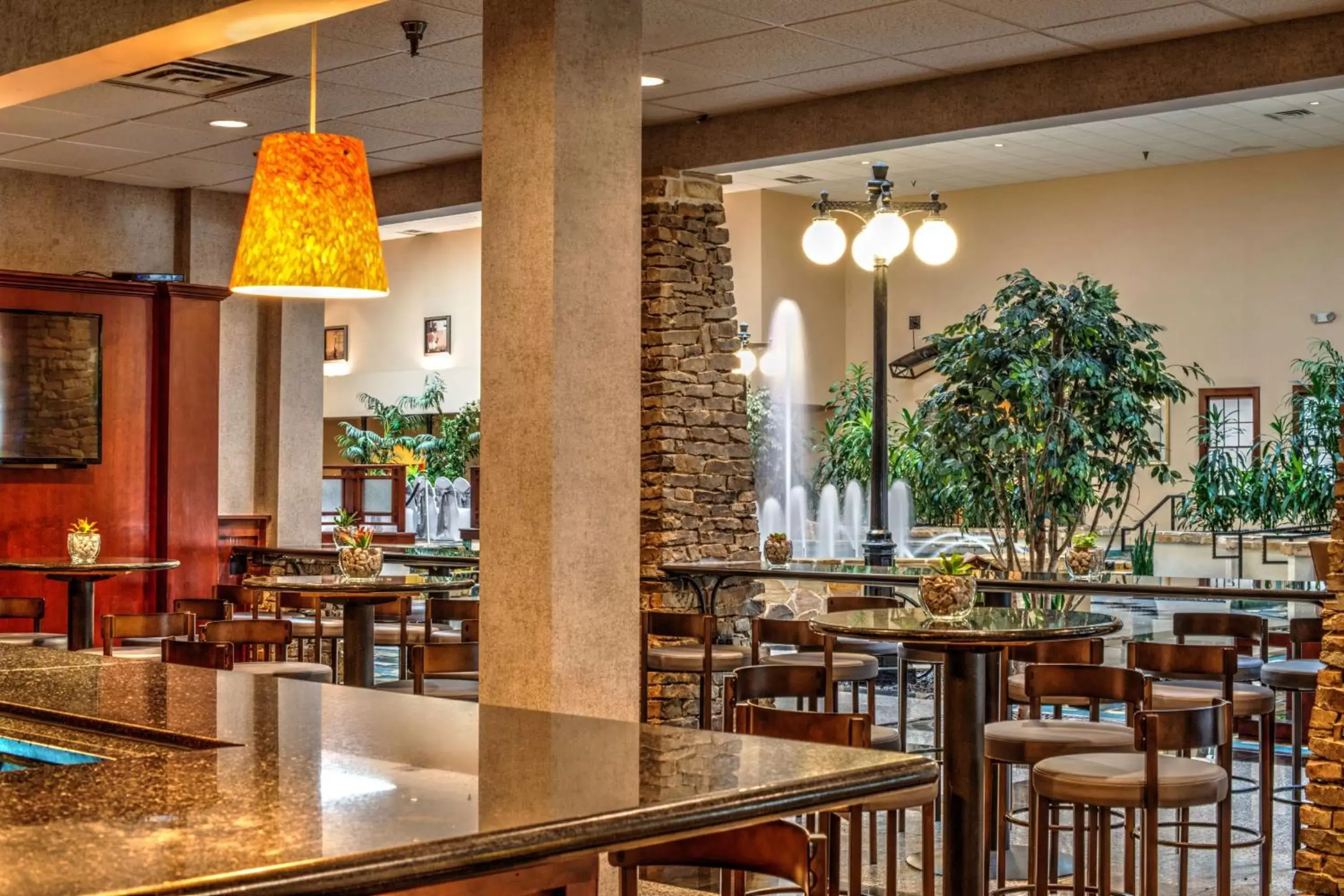 Lounge or bar, Restaurant/Places to Eat in Radisson Hotel North Fort Worth Fossil Creek