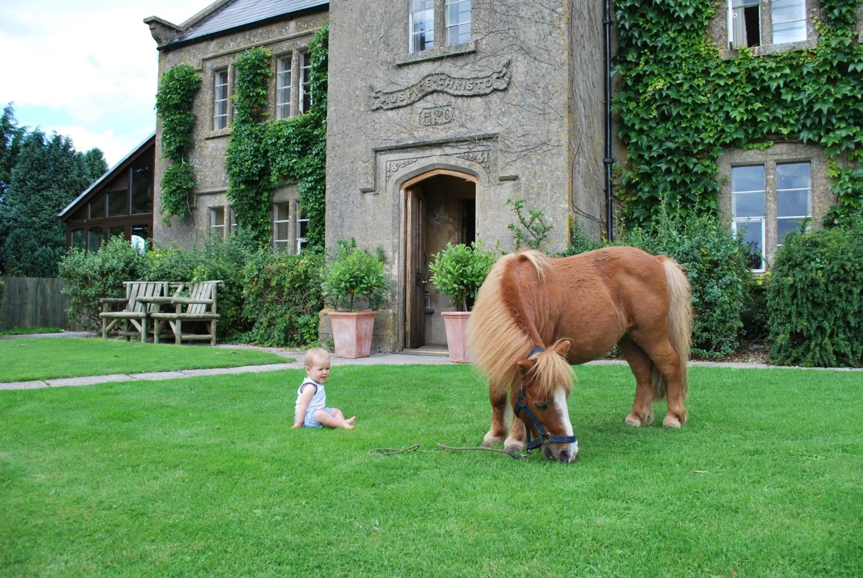 Garden in Toghill House Farm