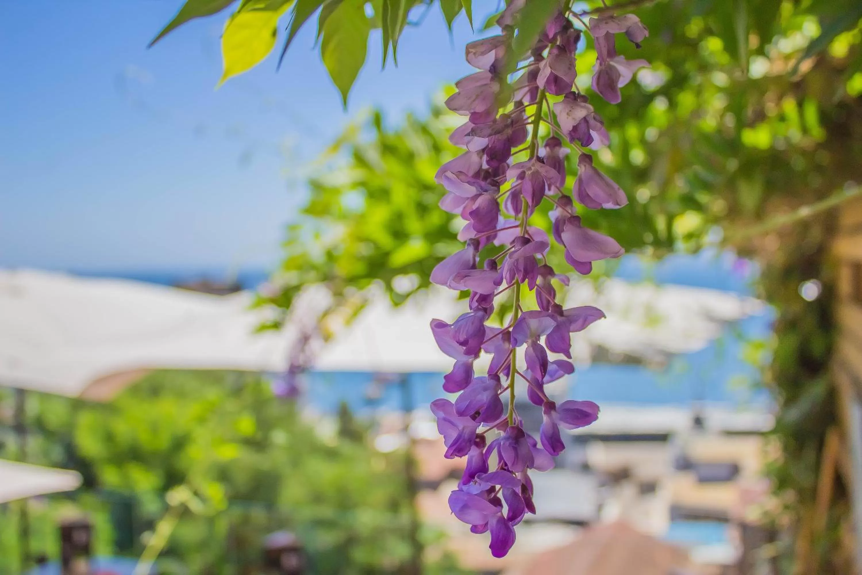 Property building in Hotel Boutique 17