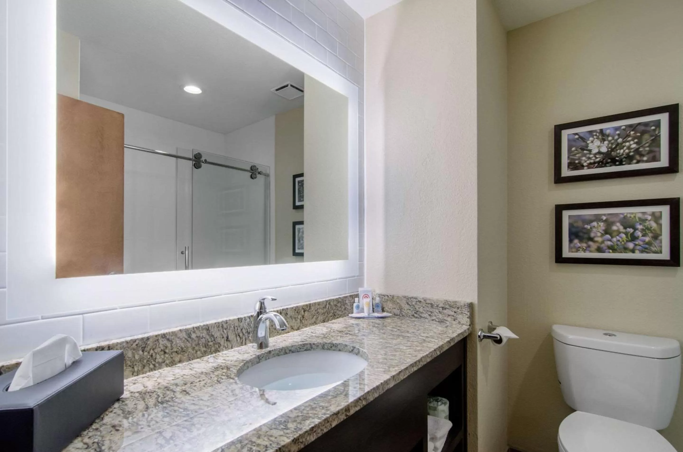 King Room - Accessible/Non-Smoking in Comfort Inn St. Robert/Fort Leonard Wood