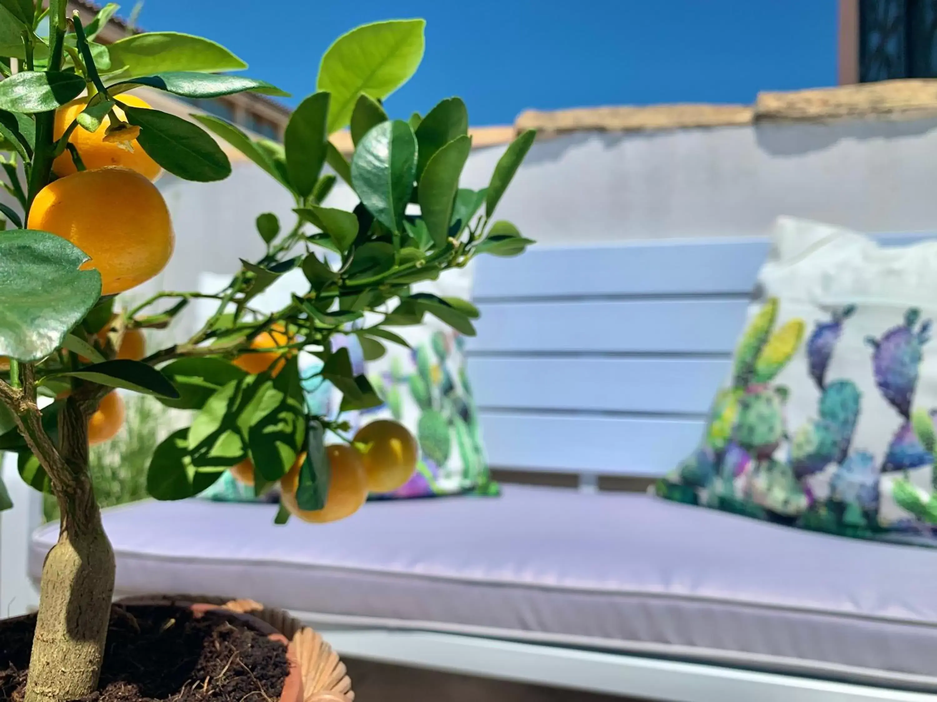 Inner courtyard view in Hotel Posta Inner courtyard view in Hotel Posta