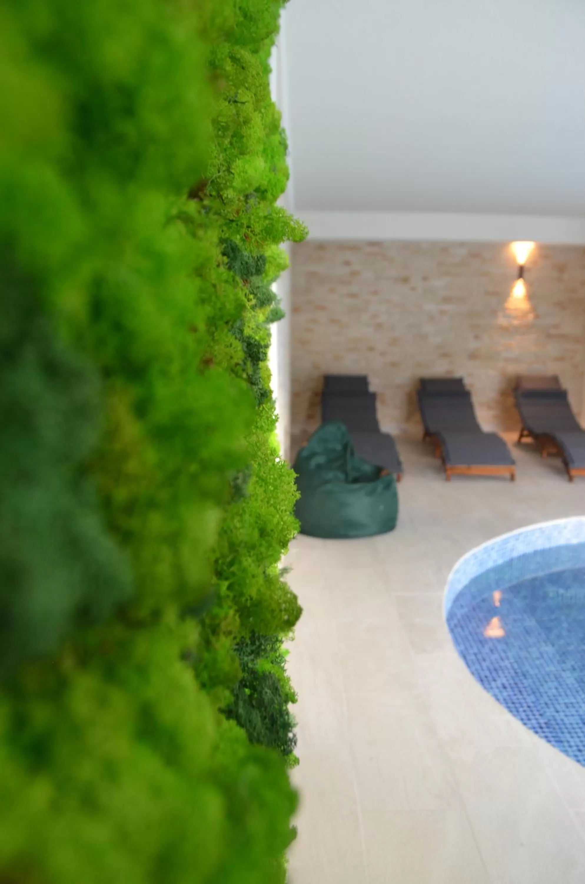 Swimming pool in Ursuletul Predeal