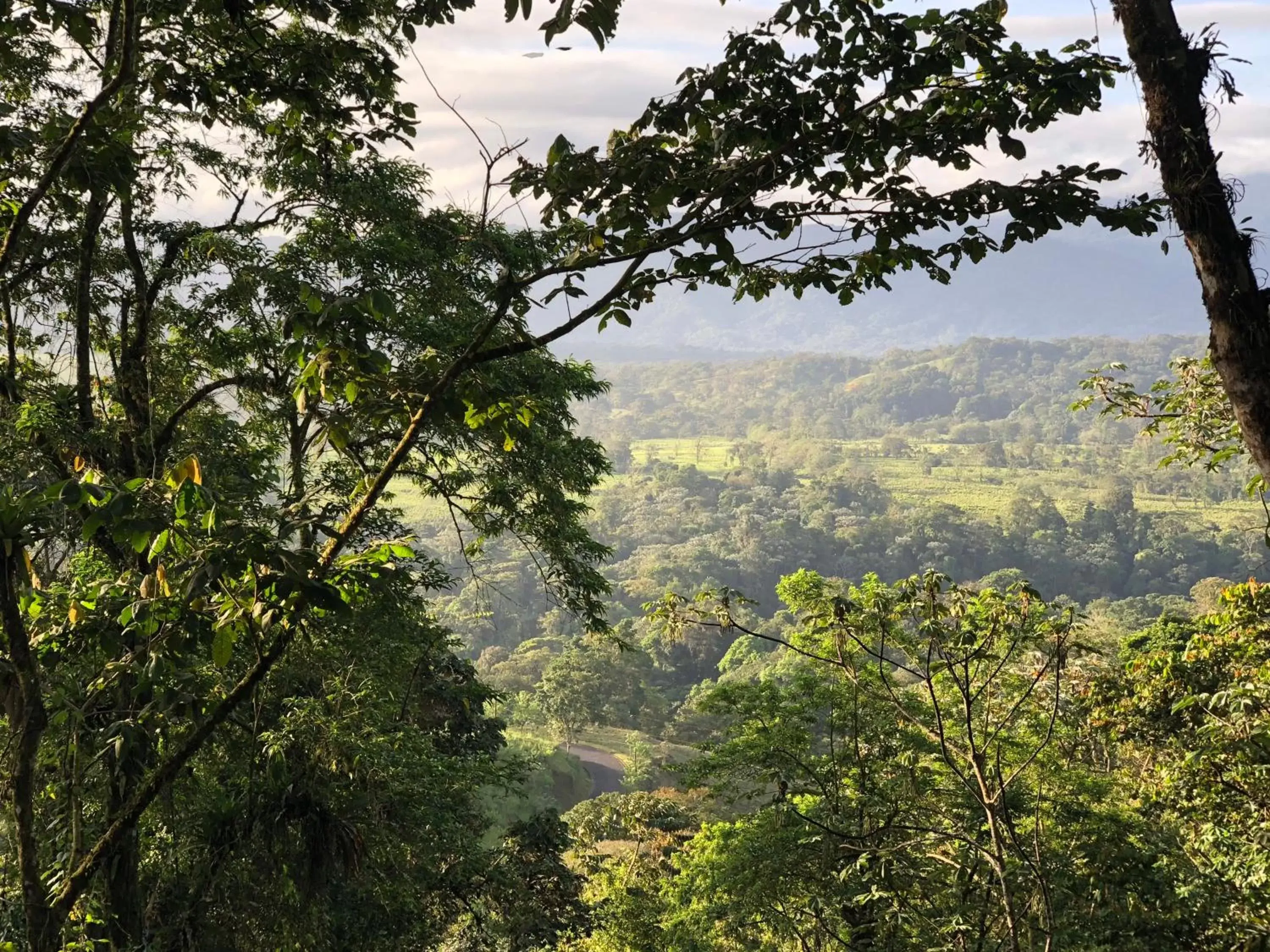 Natural landscape in Sangregado Lodge