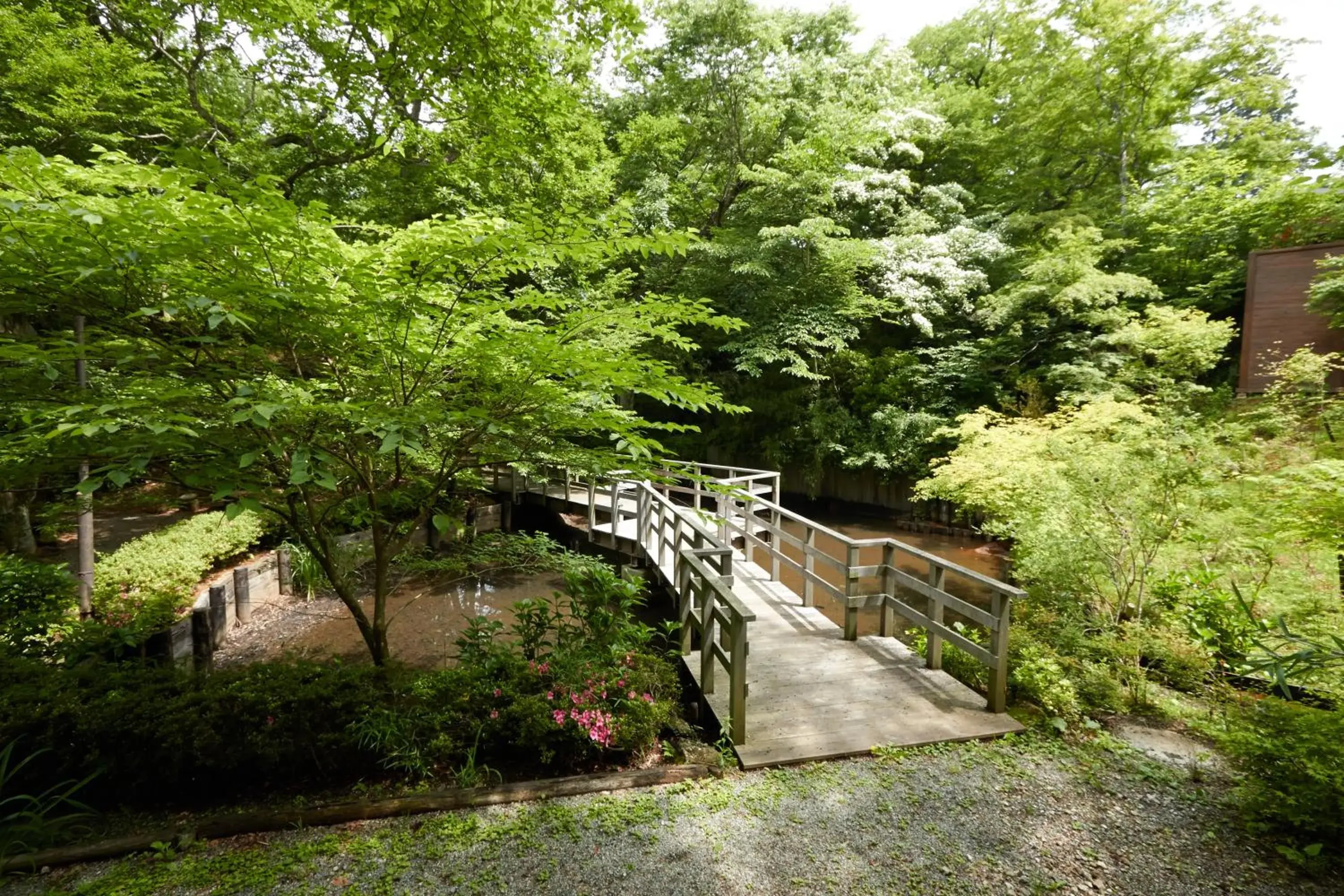 Summer, Garden in Hakone Highland Hotel