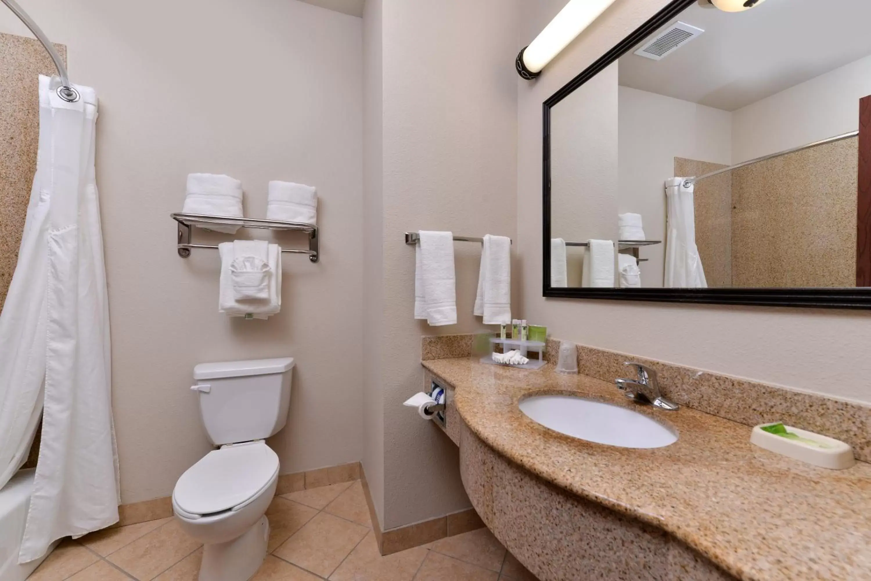 Bathroom in Holiday Inn Express Hotel & Suites Sherman Highway 75, an IHG Hotel