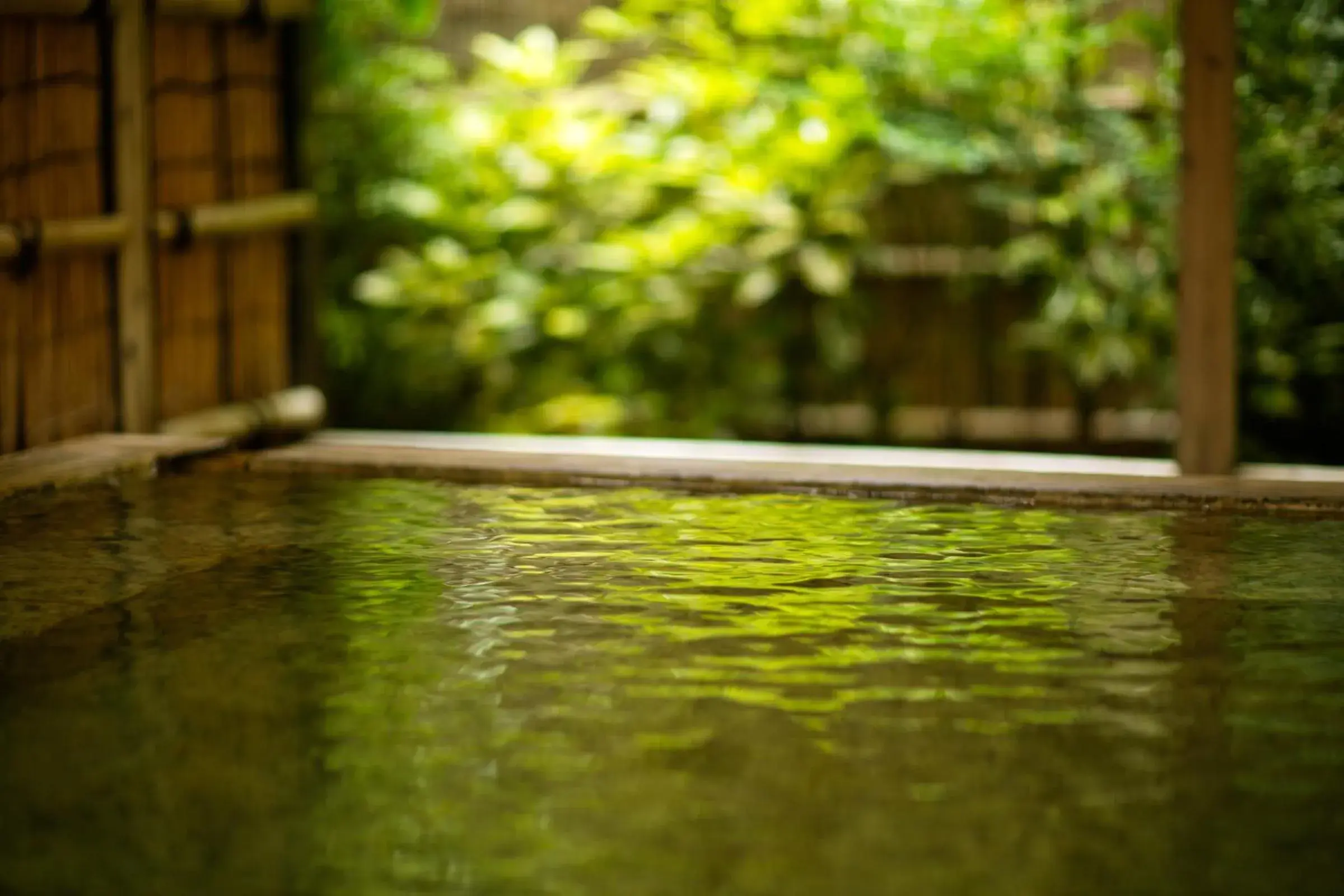 Hot Spring Bath, Swimming Pool in Ryokan Nishi-no-Miyabi Tokiwa