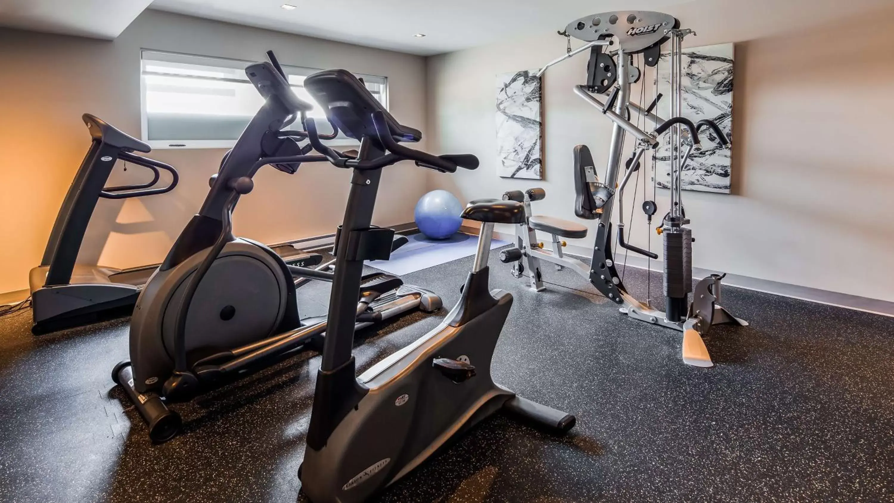 Fitness centre/facilities, Fitness Center/Facilities in Best Western Plus Mont-Laurier