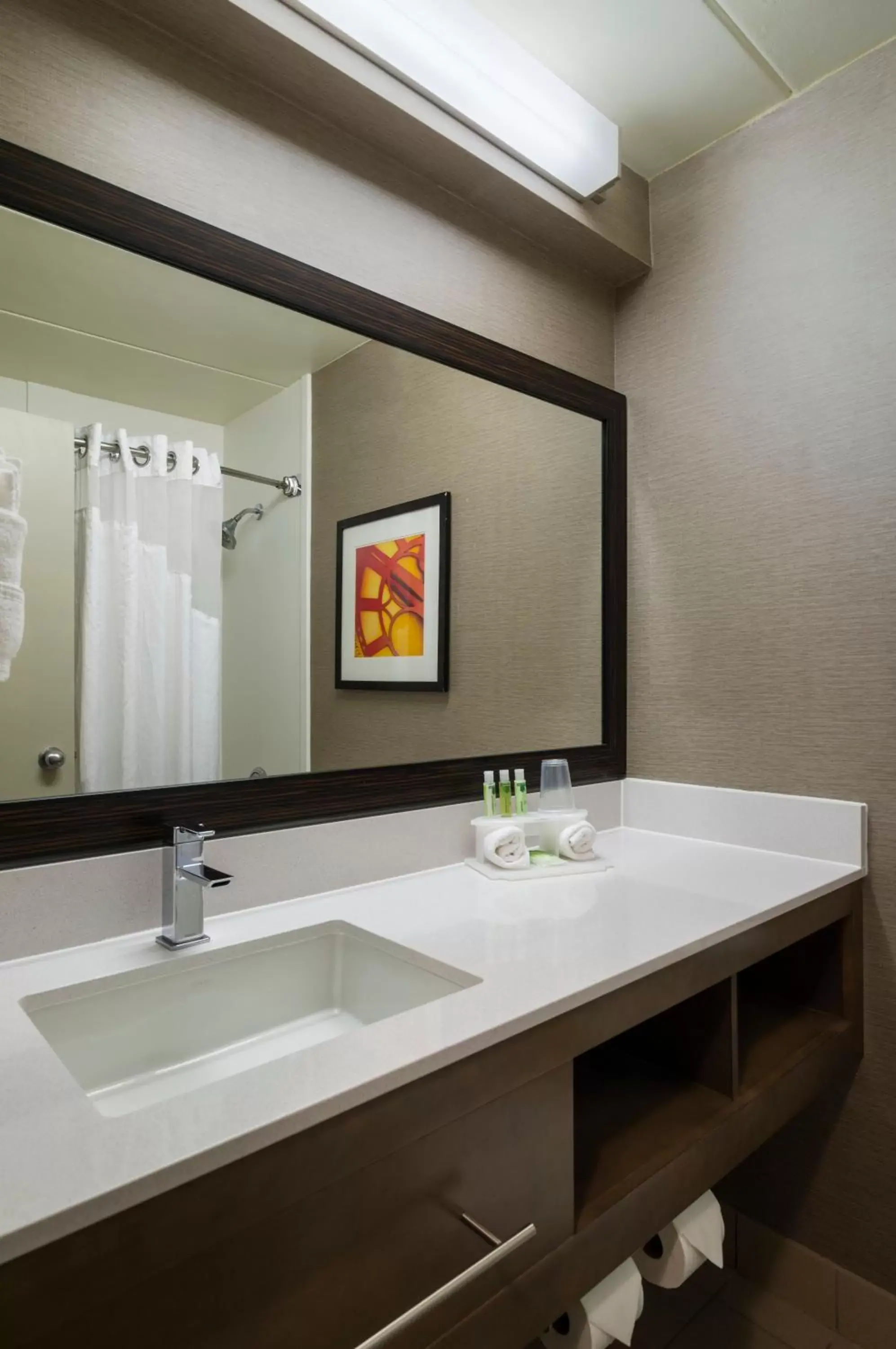 Bathroom in Holiday Inn Express Hotel & Suites King of Prussia, an IHG Hotel