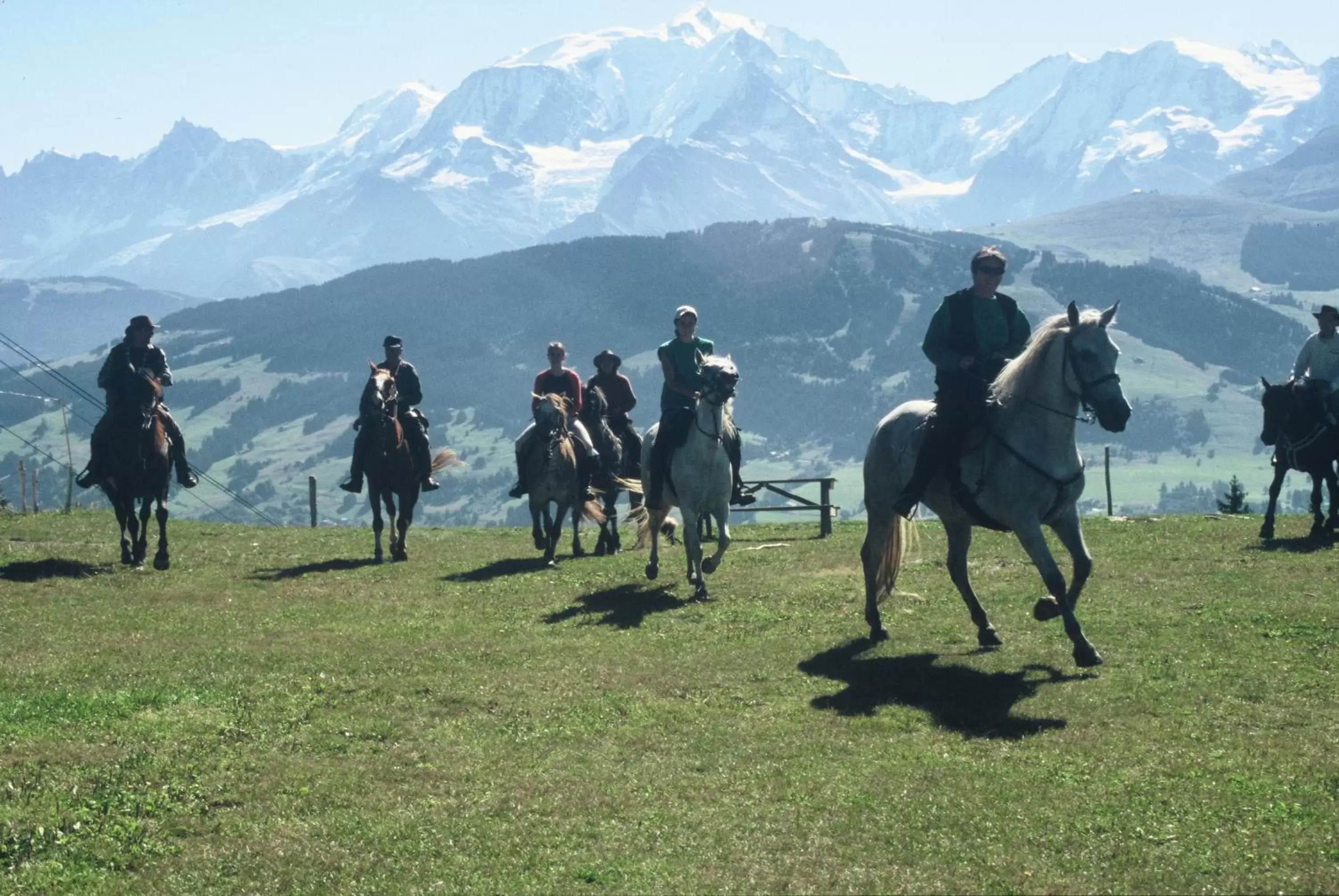 Activities, Horseback Riding in Lodge Park