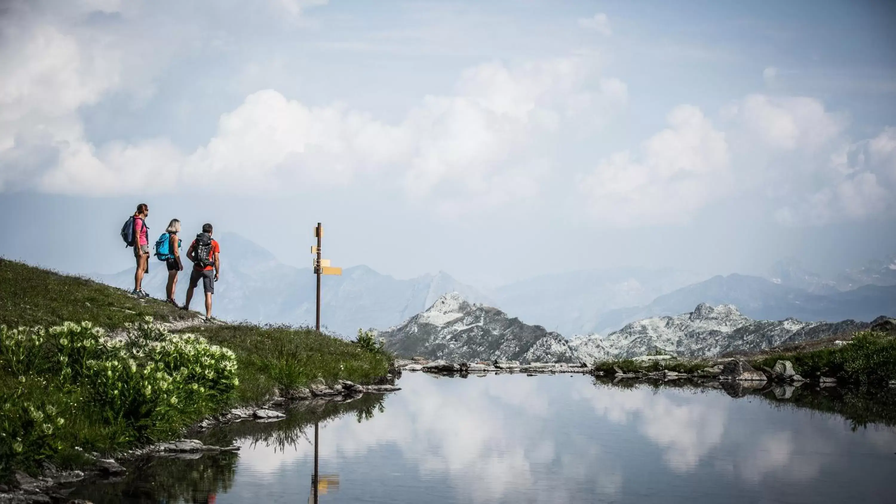 Natural landscape in Hotel Base Camp Lodge - Bourg Saint Maurice