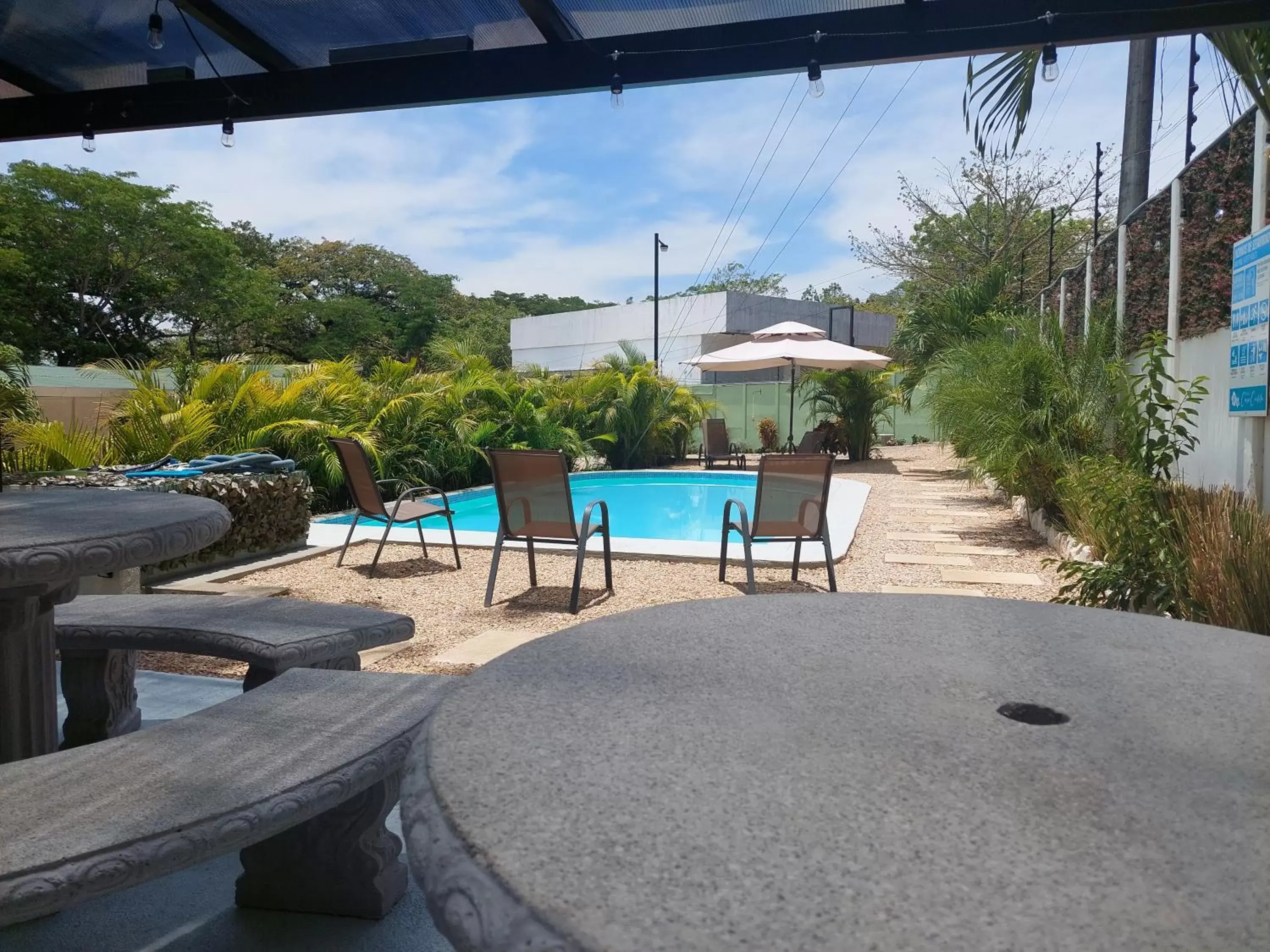 Garden view, Swimming Pool in Hotel Casa Carlota Tamarindo
