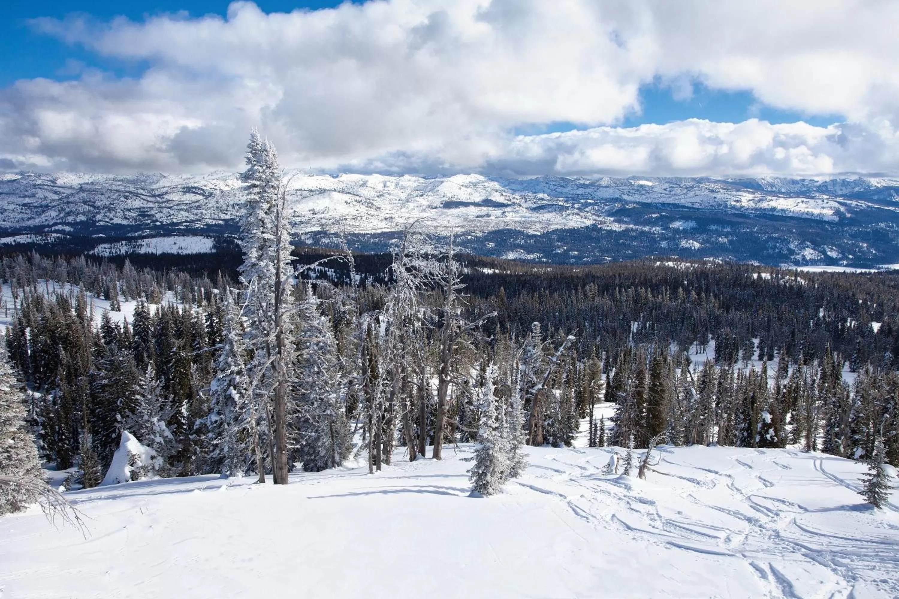 Skiing in WorldMark McCall