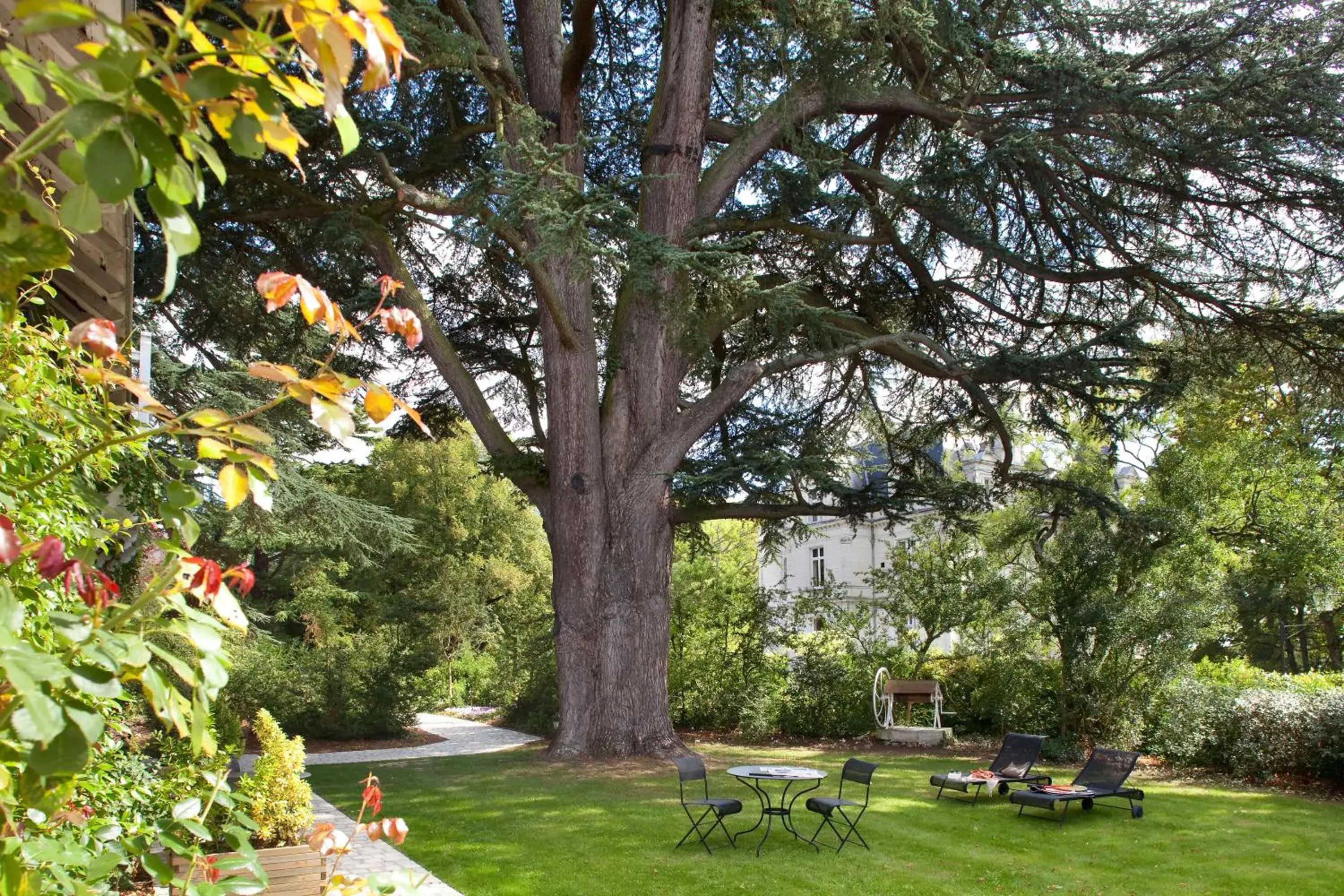 Garden in Domaine de la Tortinière