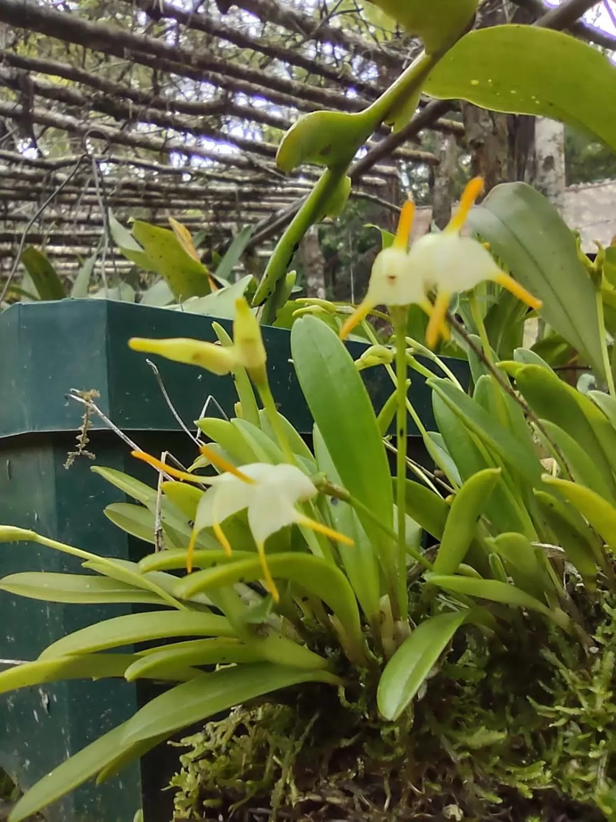 Posada Montaña del Quetzal