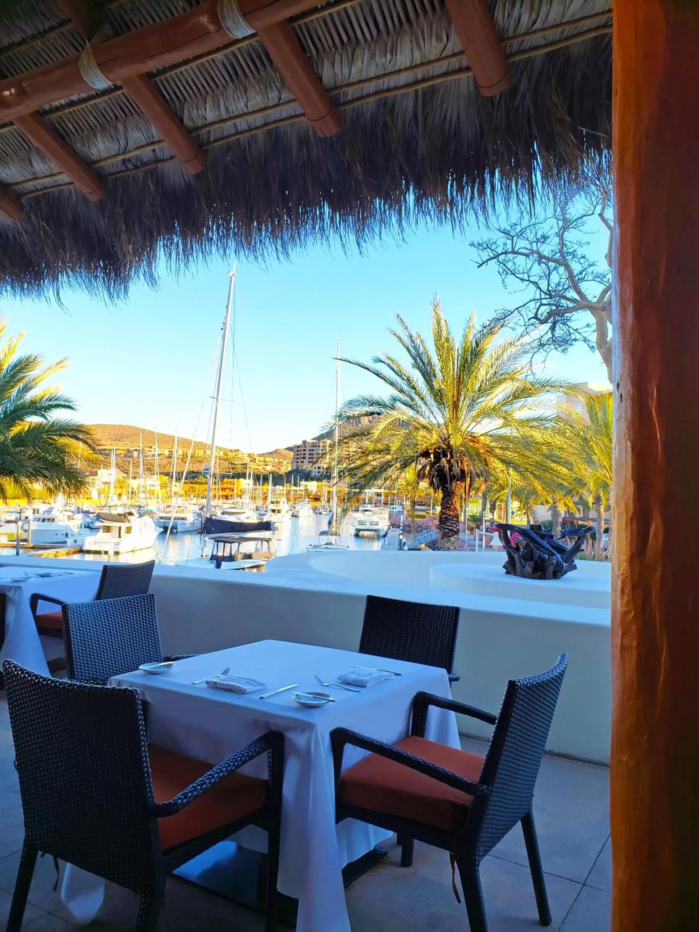 Restaurant/places to eat in Costa Baja Resort & Spa