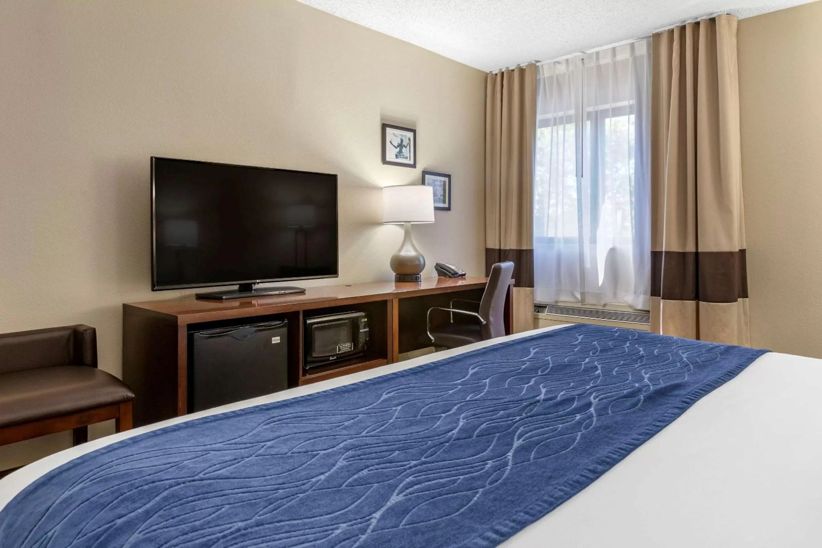 Photo of the whole room, Bed in Comfort Inn Near Greenfield Village