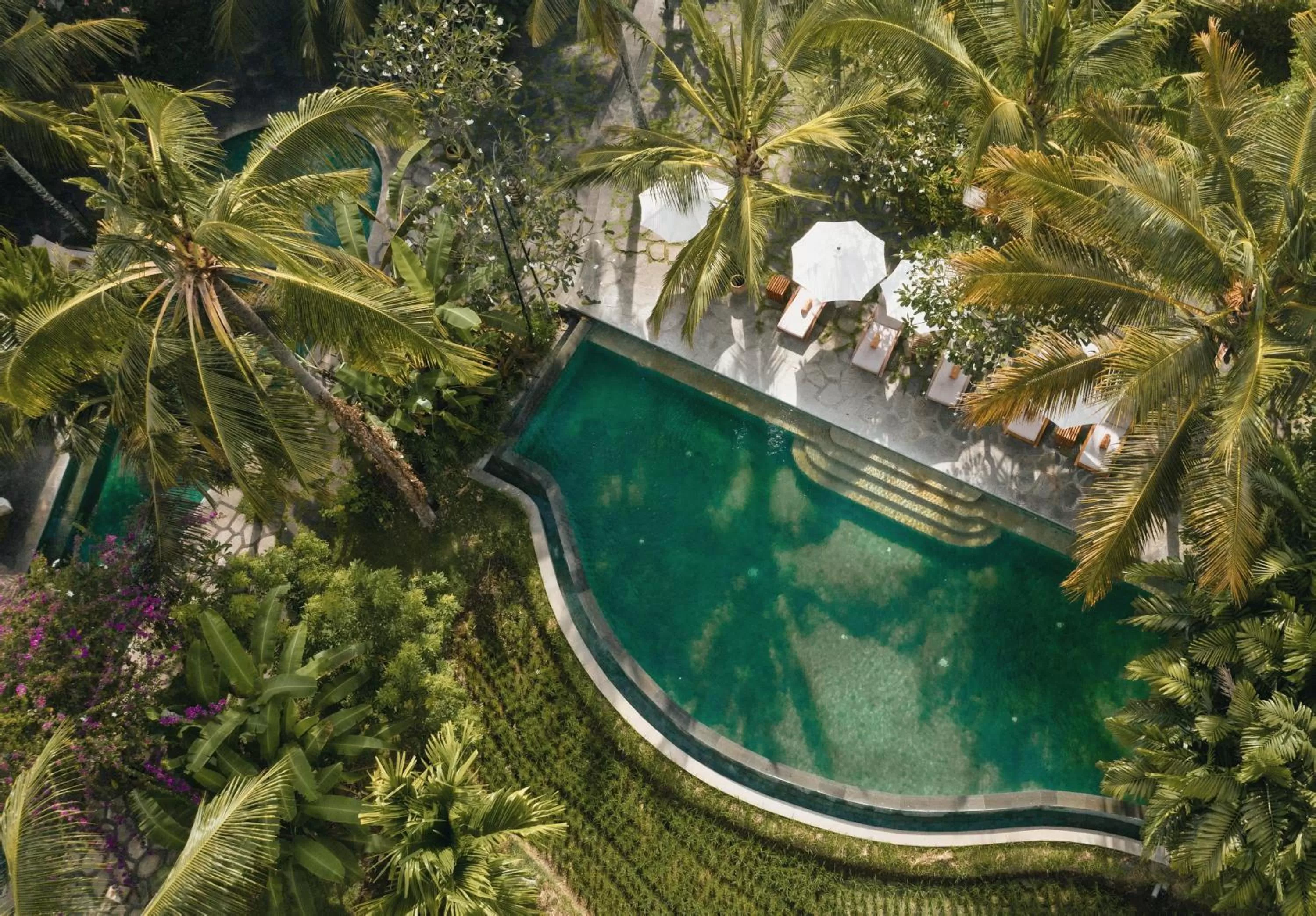 Swimming pool in Alaya Resort Ubud
