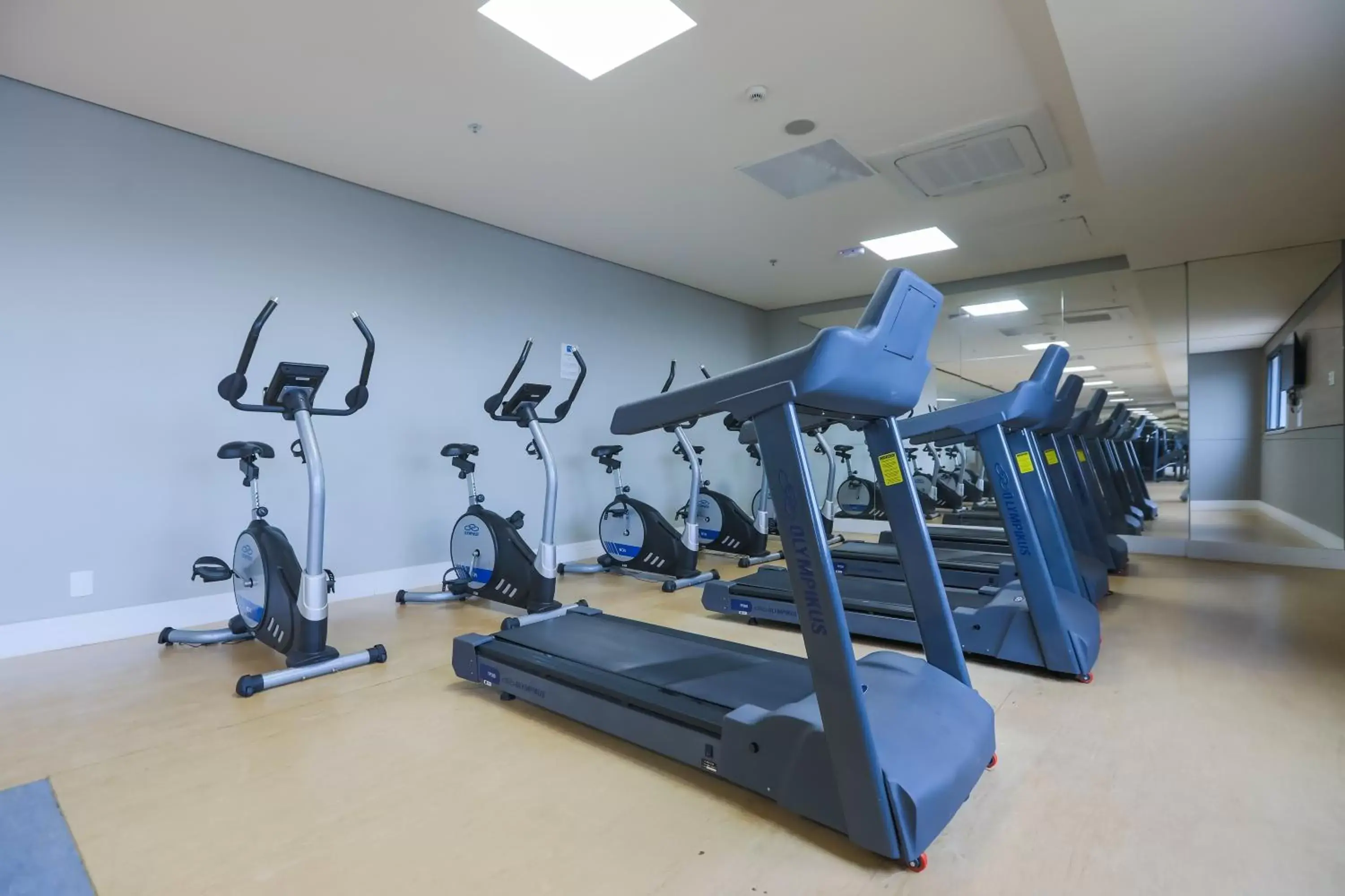 Fitness centre/facilities, Fitness Center/Facilities in TRYP By Wyndham Ribeirão Preto