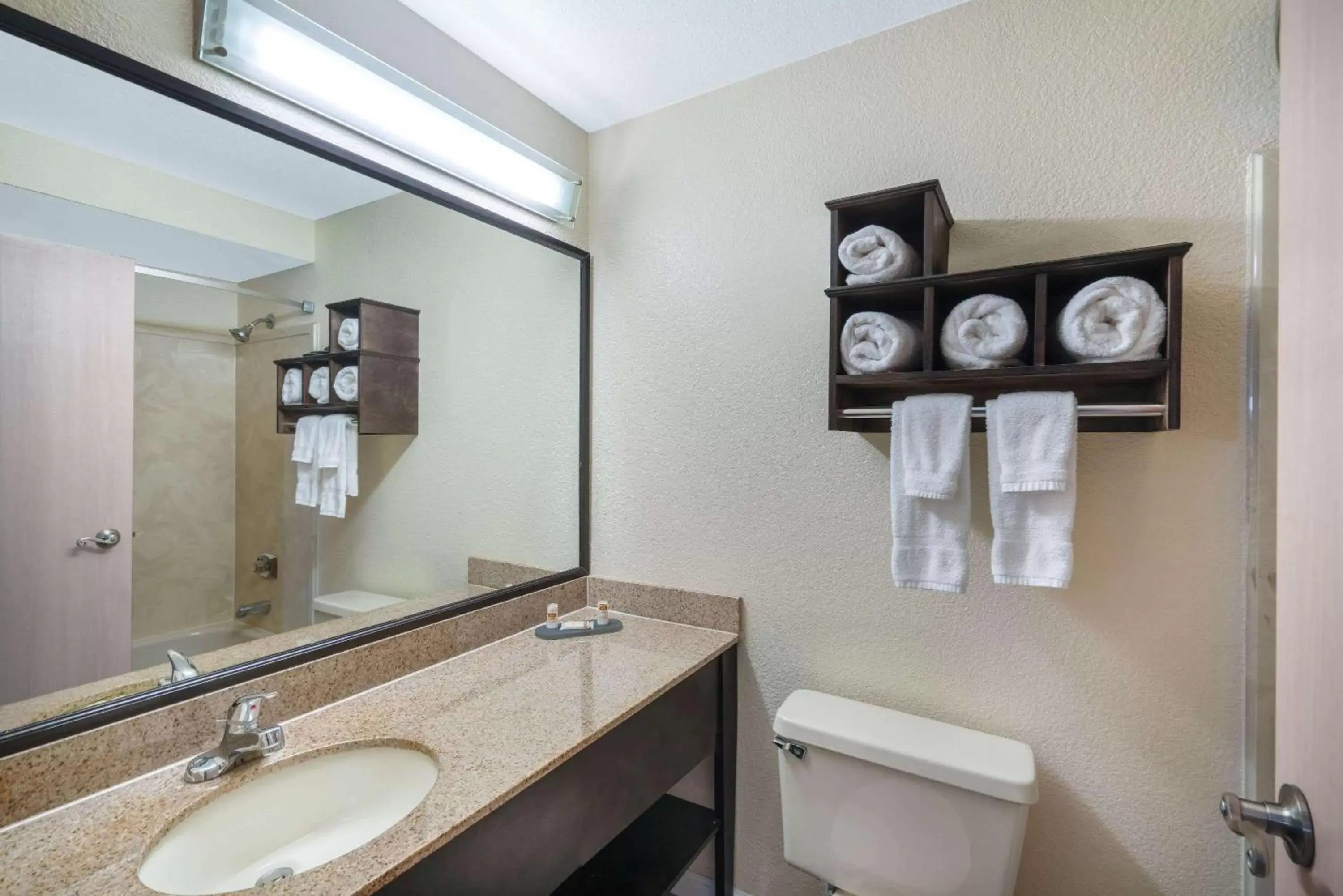 Bathroom in La Quinta by Wyndham Memphis Airport Graceland