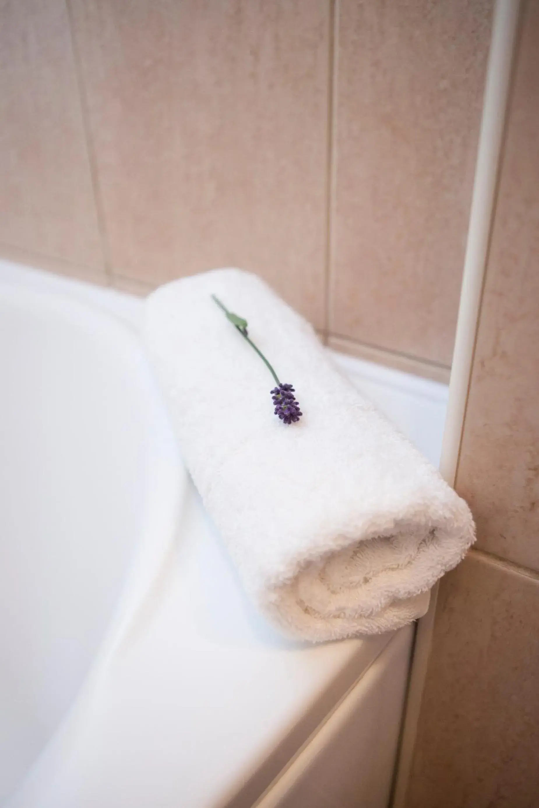 Bathroom in Hotel Secesja