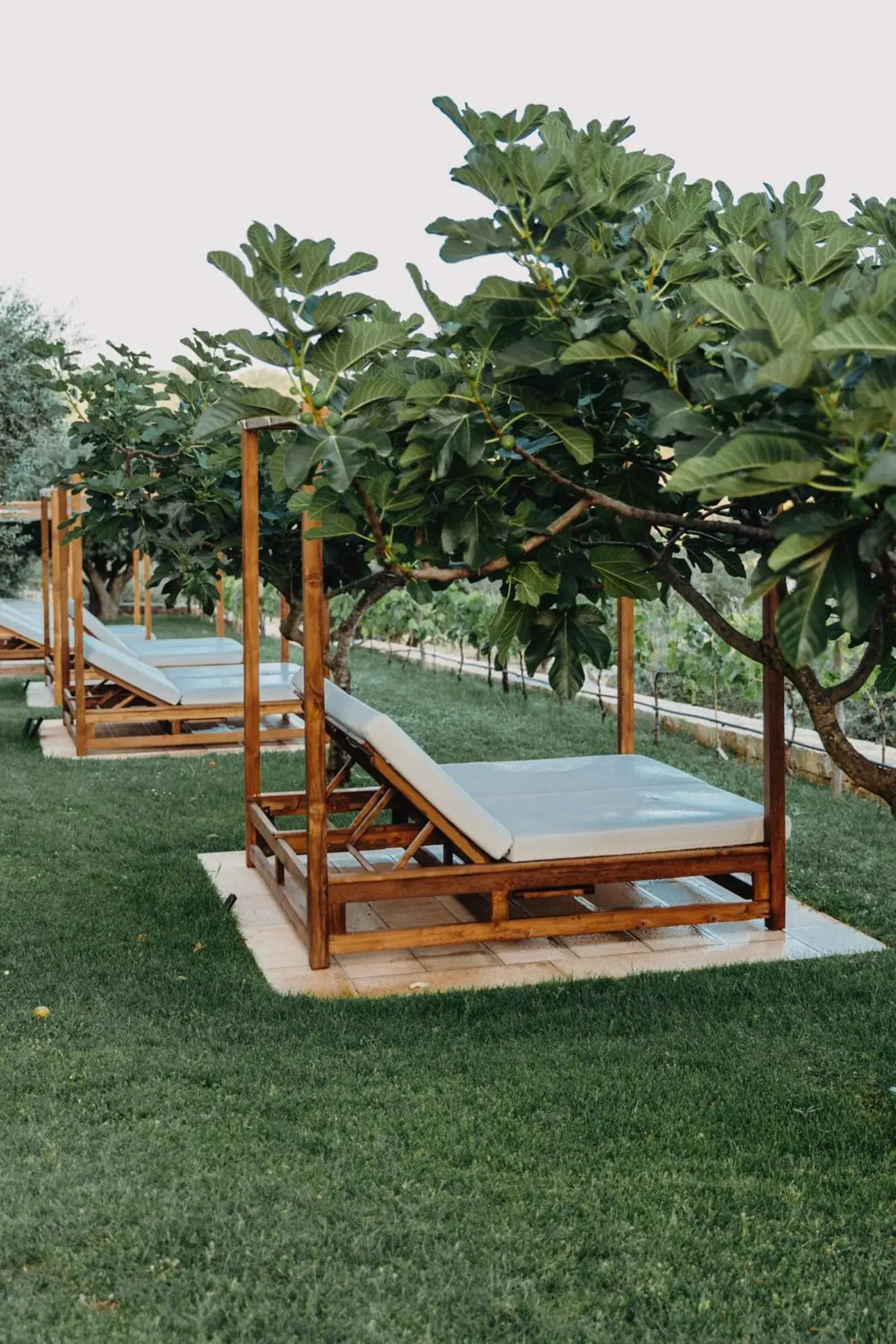 Swimming Pool in Ottolire Resort