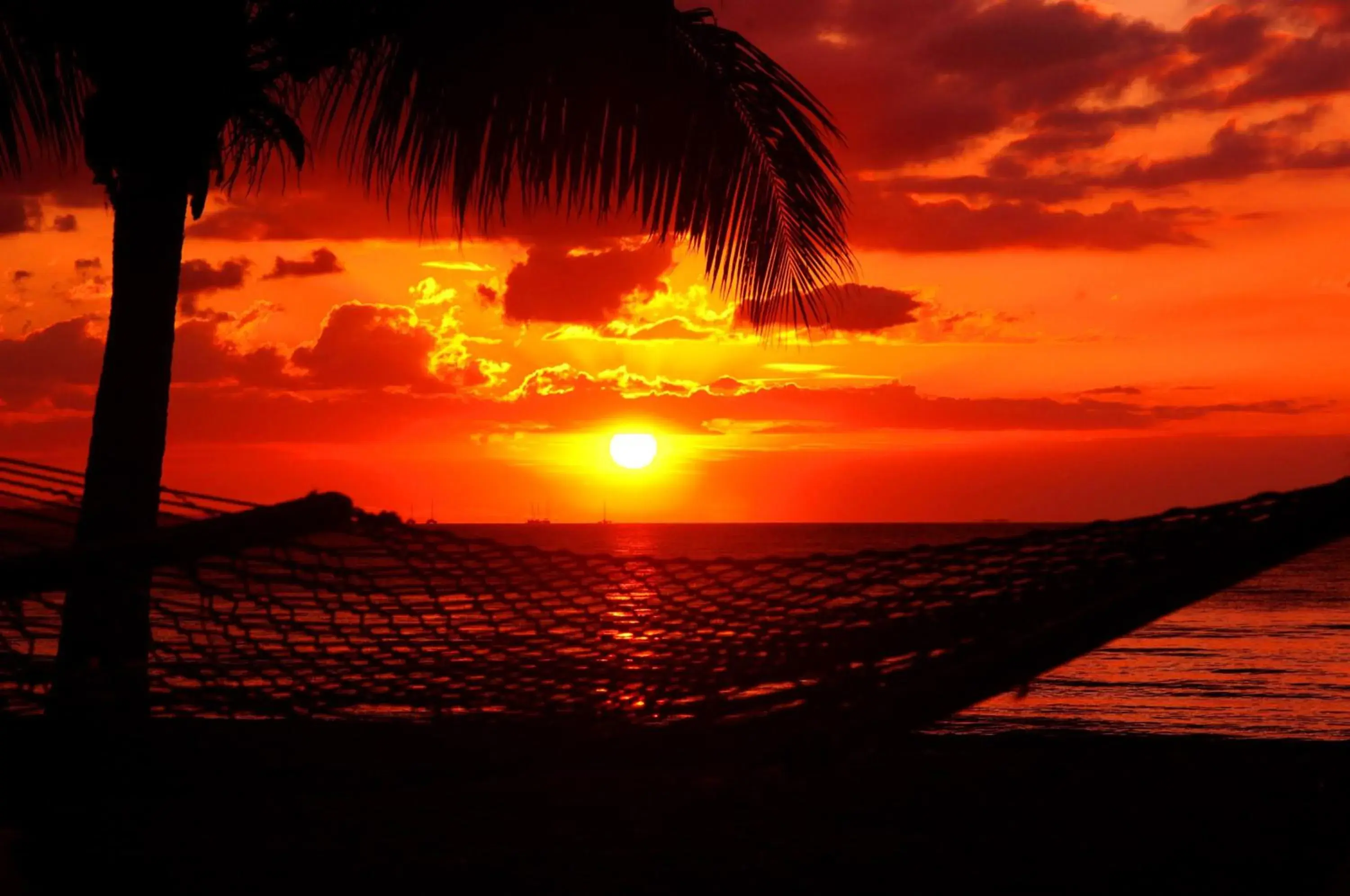 Beach, Sunrise/Sunset in Bamboo Backpackers Hostel